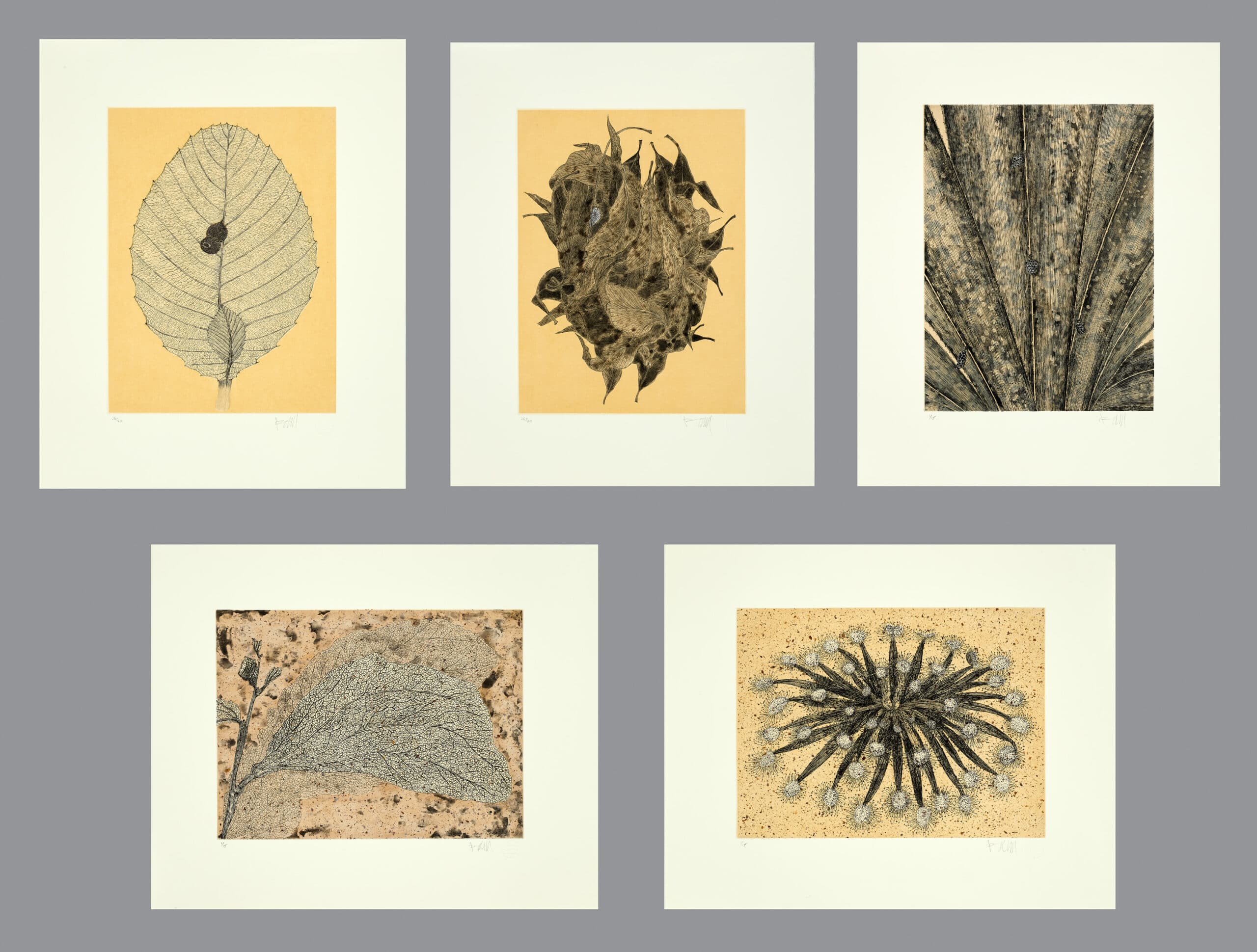 SUITE OF FIVE ETCHINGS