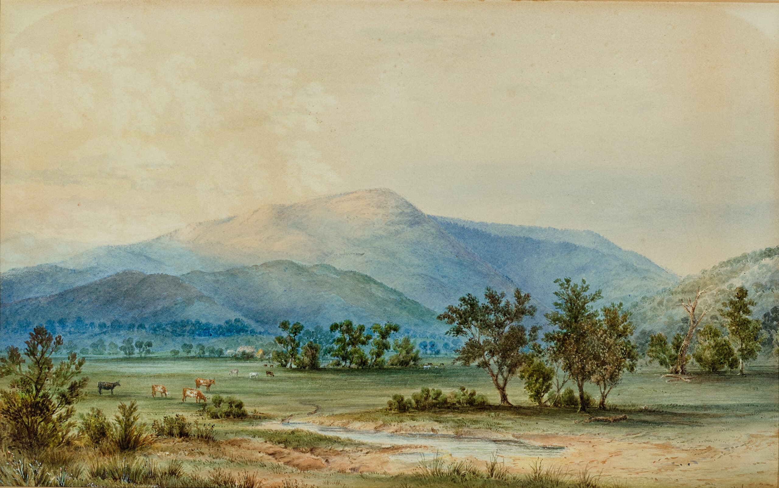 MT STURGEON, GRAMPIANS