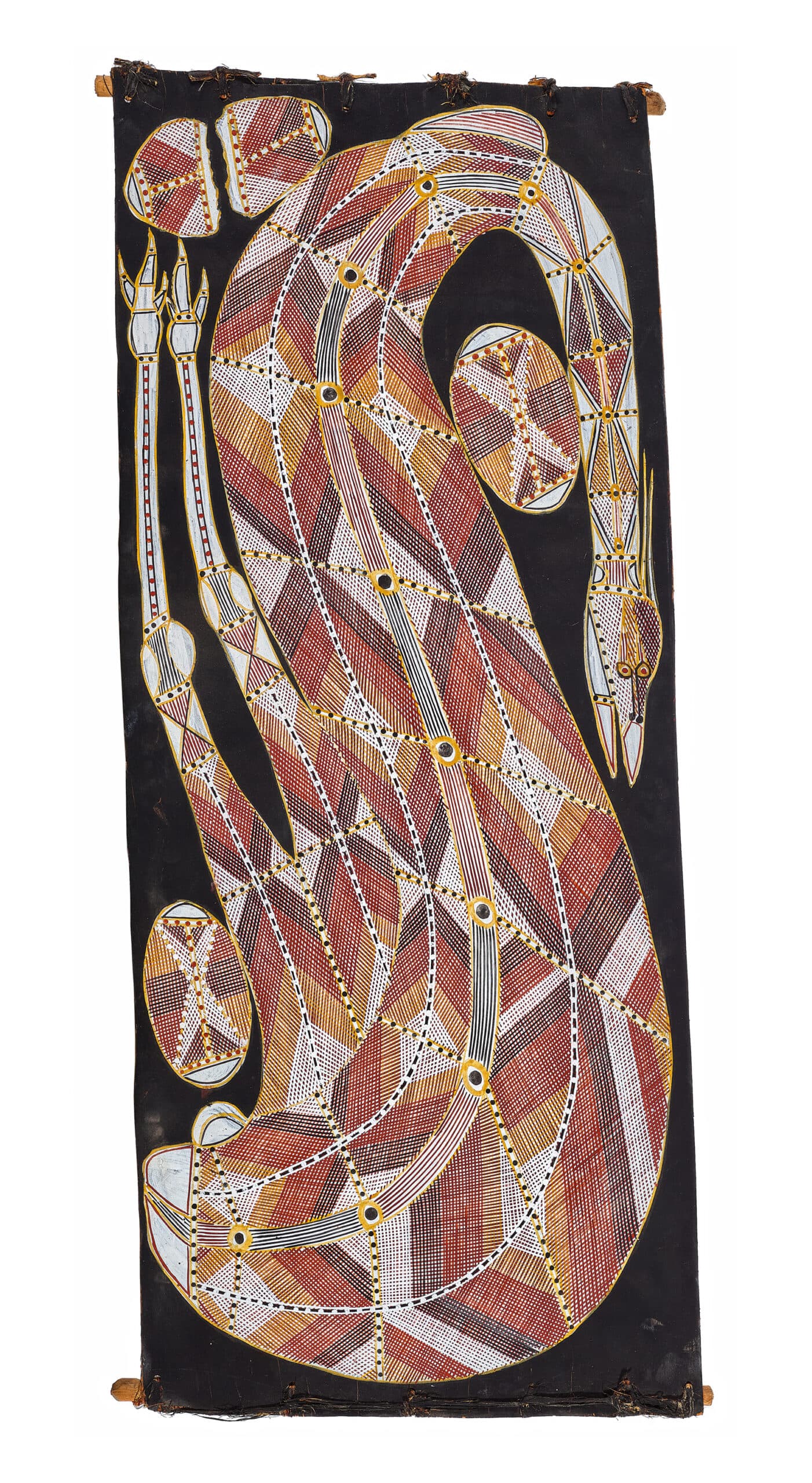 BENOK (PLAINS TURKEY)