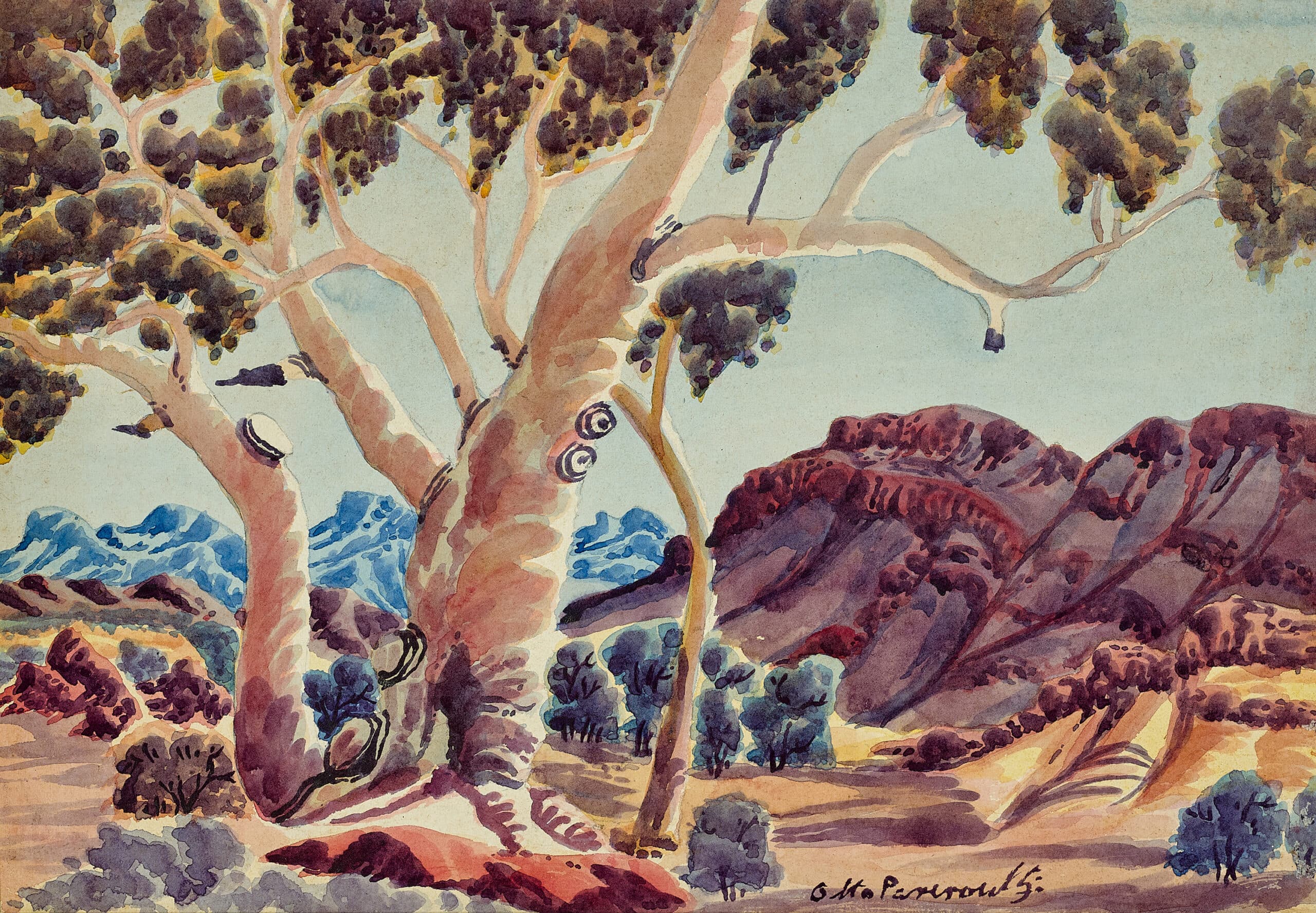 TOTEMIC GUM, MCDONNELL RANGES, CENTRAL AUSTRALIA