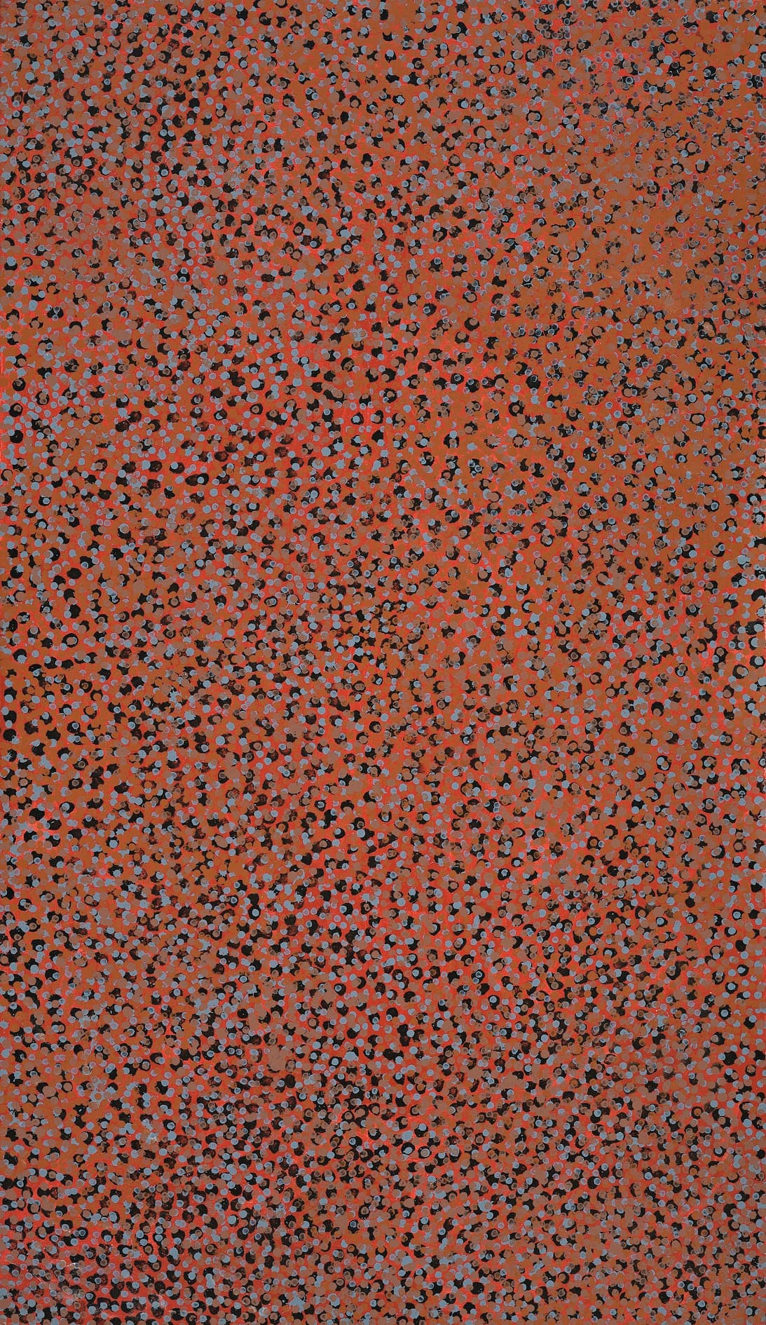 MERNE NDORKWA (WILD PLUM)