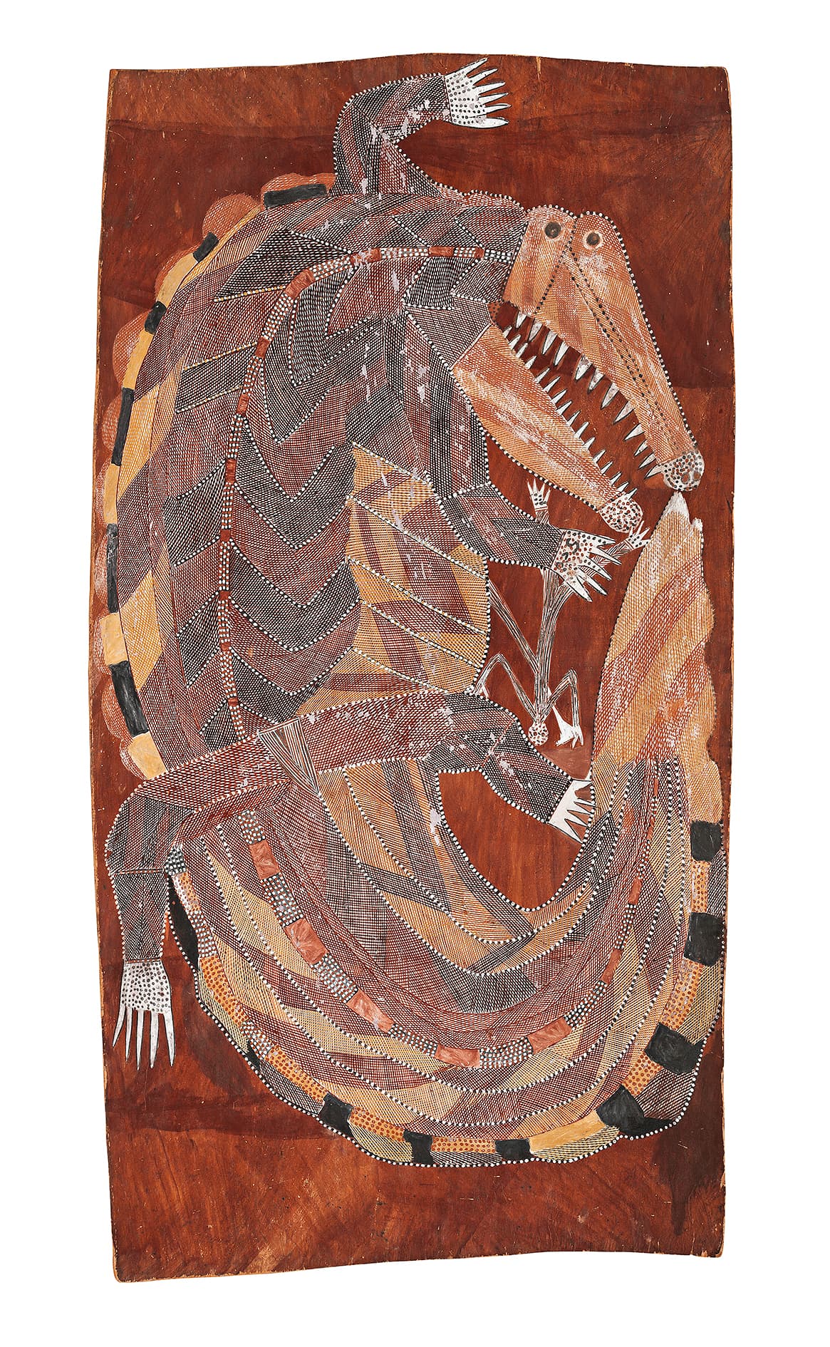 SALT WATER CROCODILE AND MIMIH