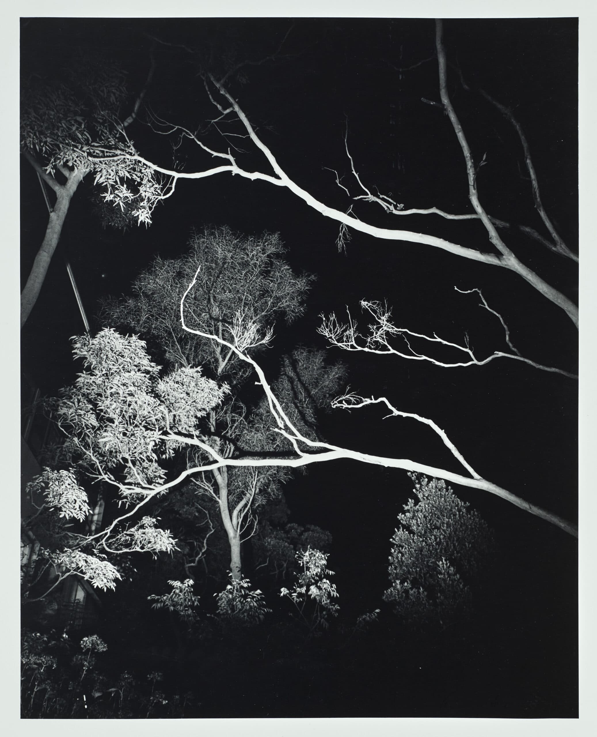 LANDSCAPE AT NIGHT CASTLECRAG