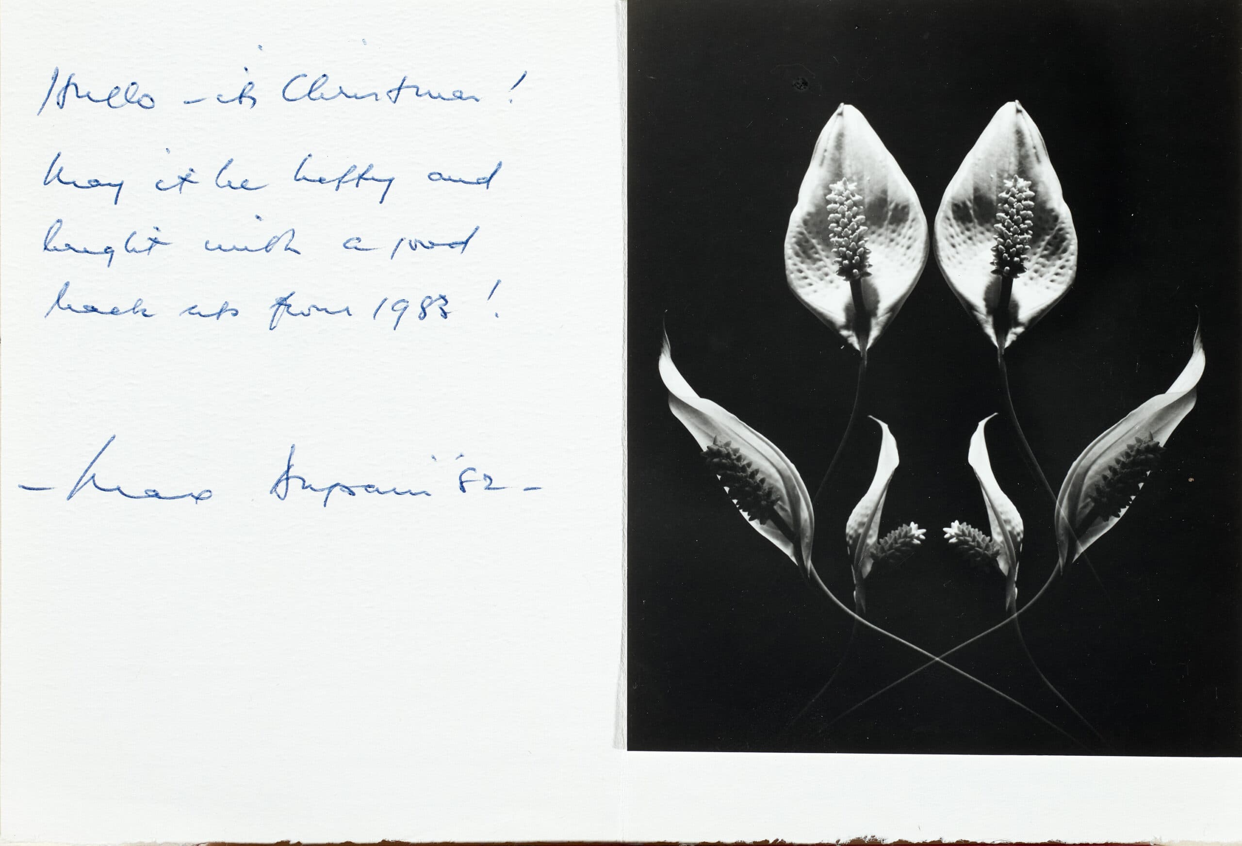 CHRISTMAS CARD WITH PEACE LILY PHOTO