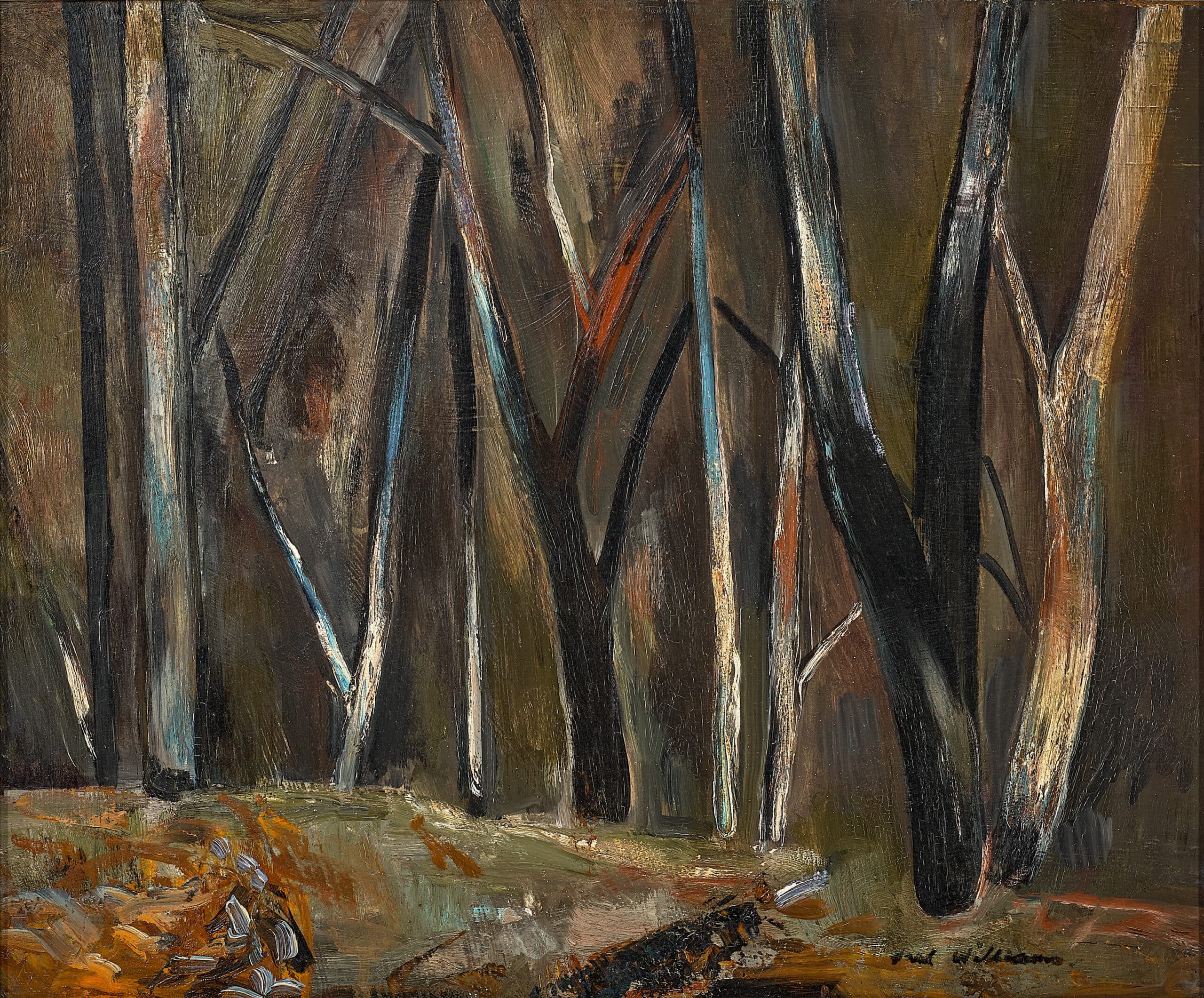 SHERBROOKE FOREST