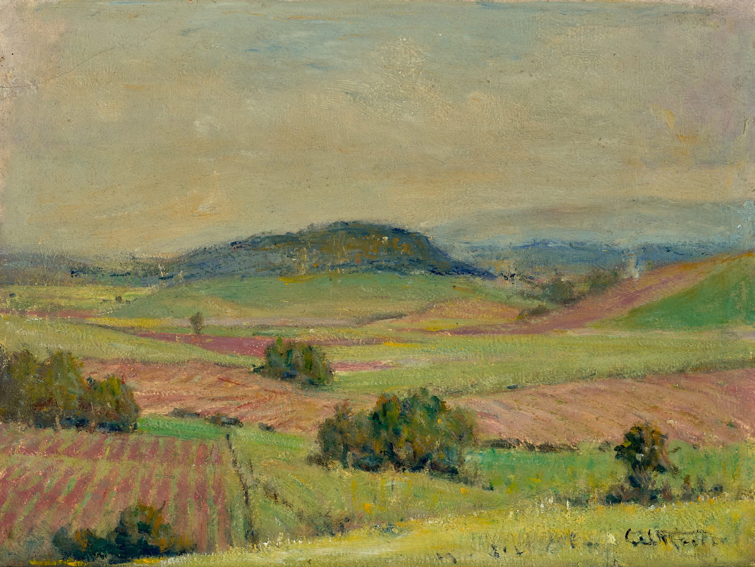 CANE FIELDS, INNISFALL
