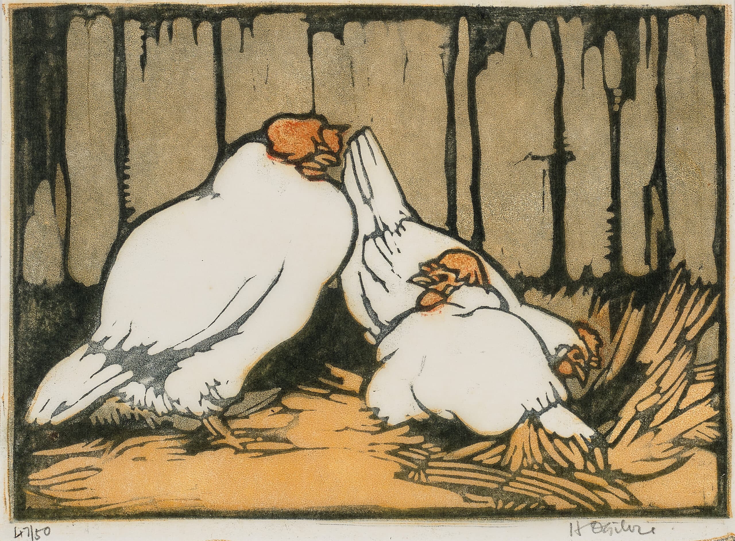 Chooks in the straw