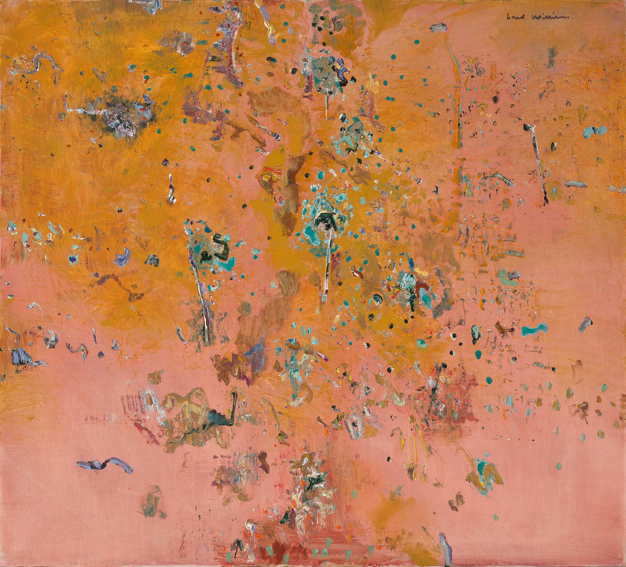 Paraburdoo landscape