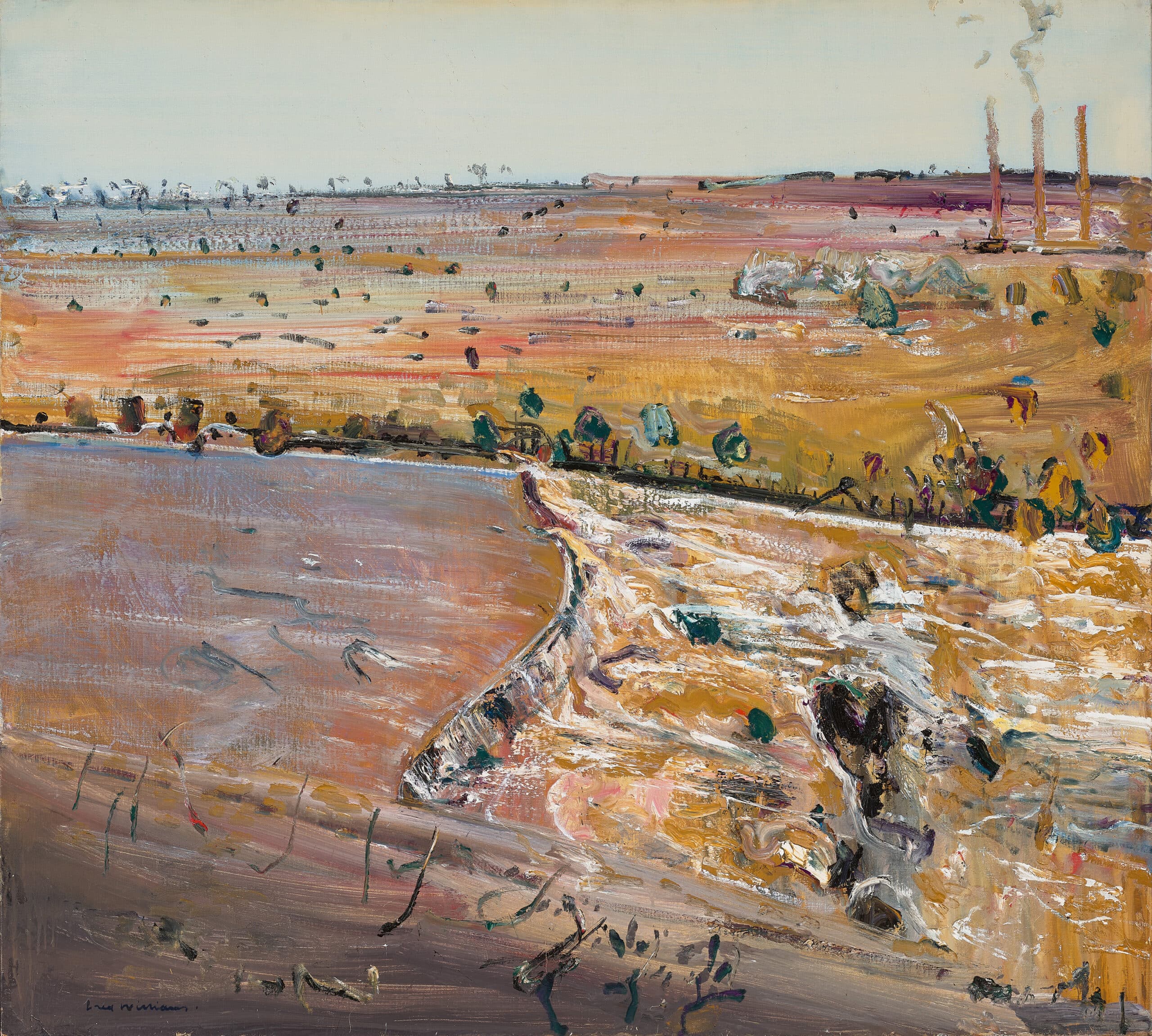 Barwon in flood II