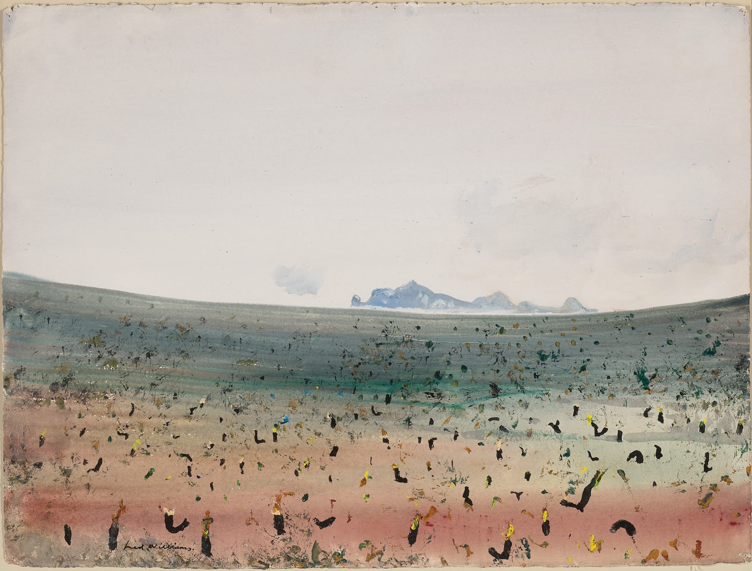 Flinders Island