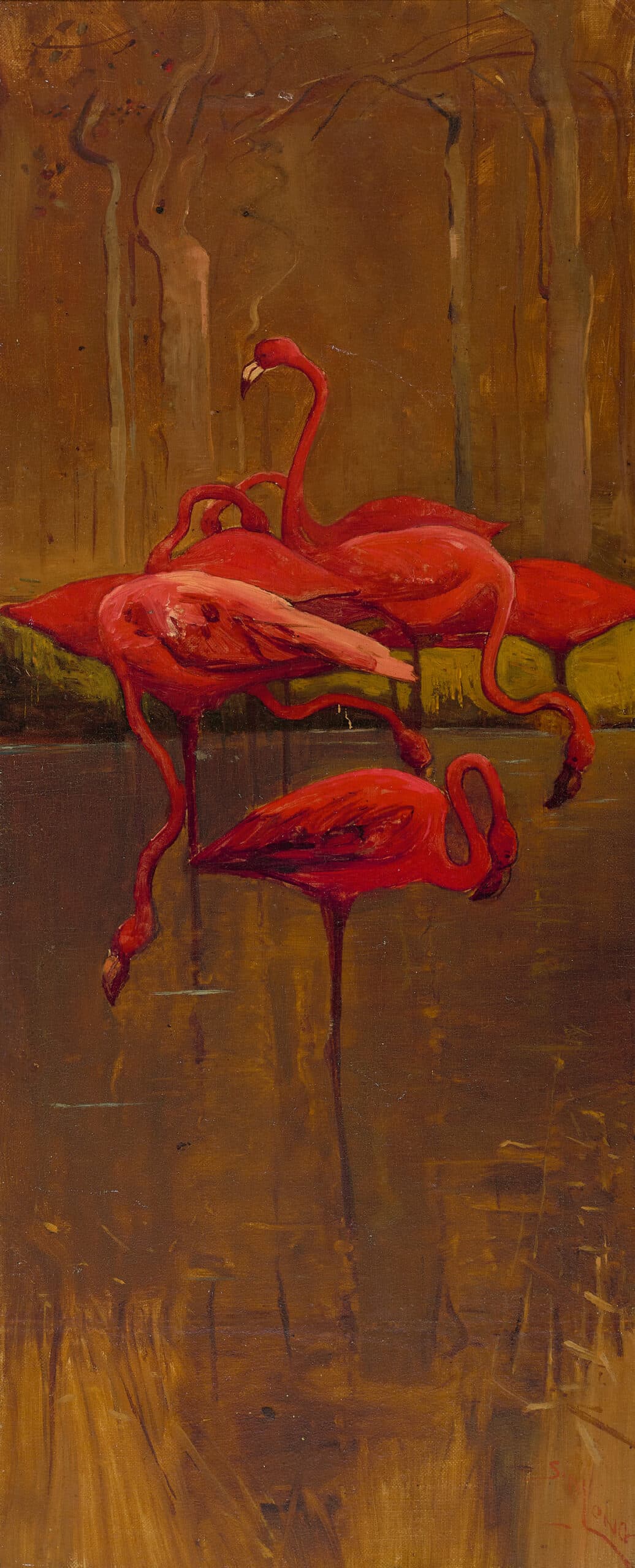 Flamingoes
