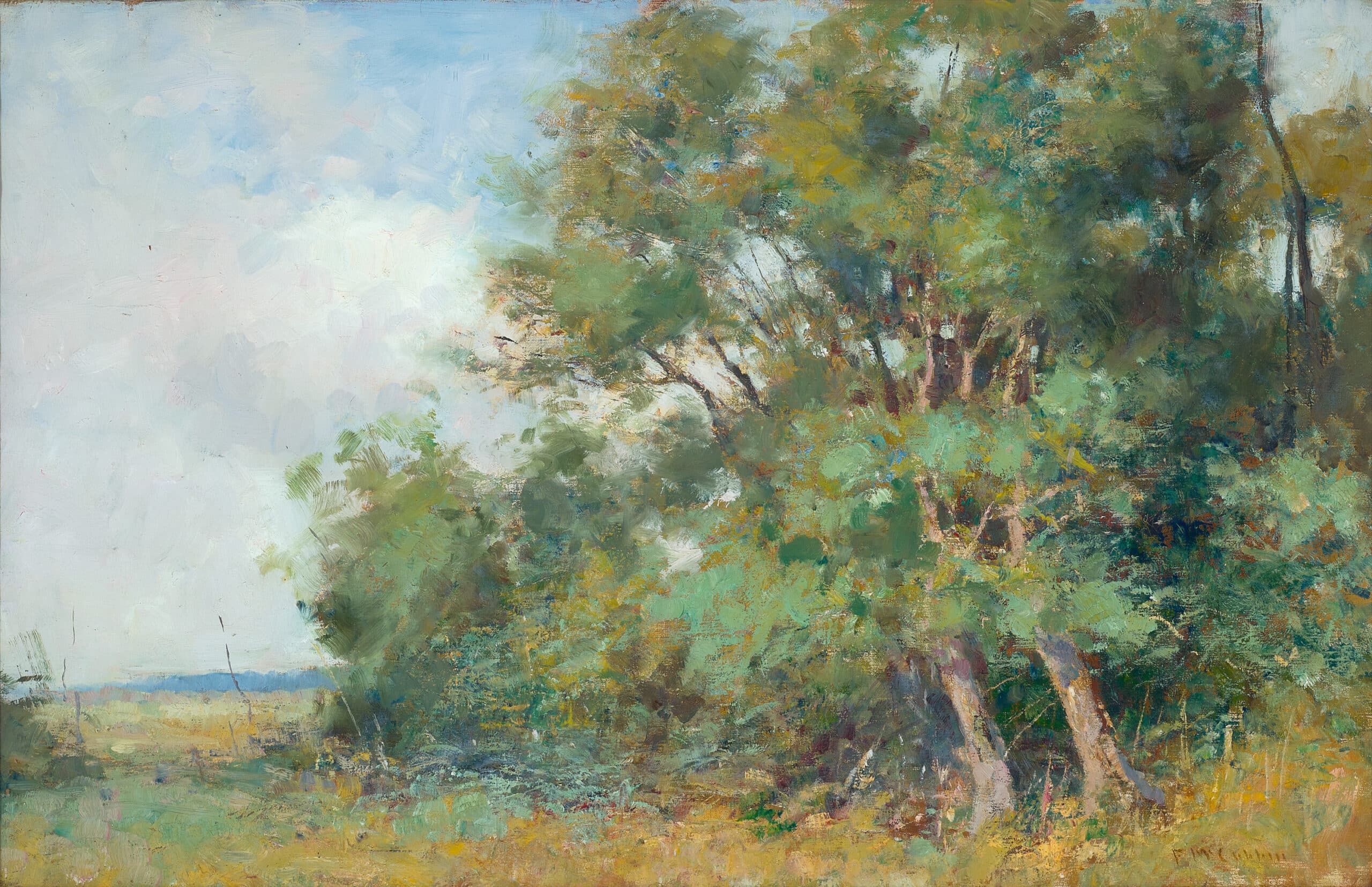Macedon landscape (View from Hesket)