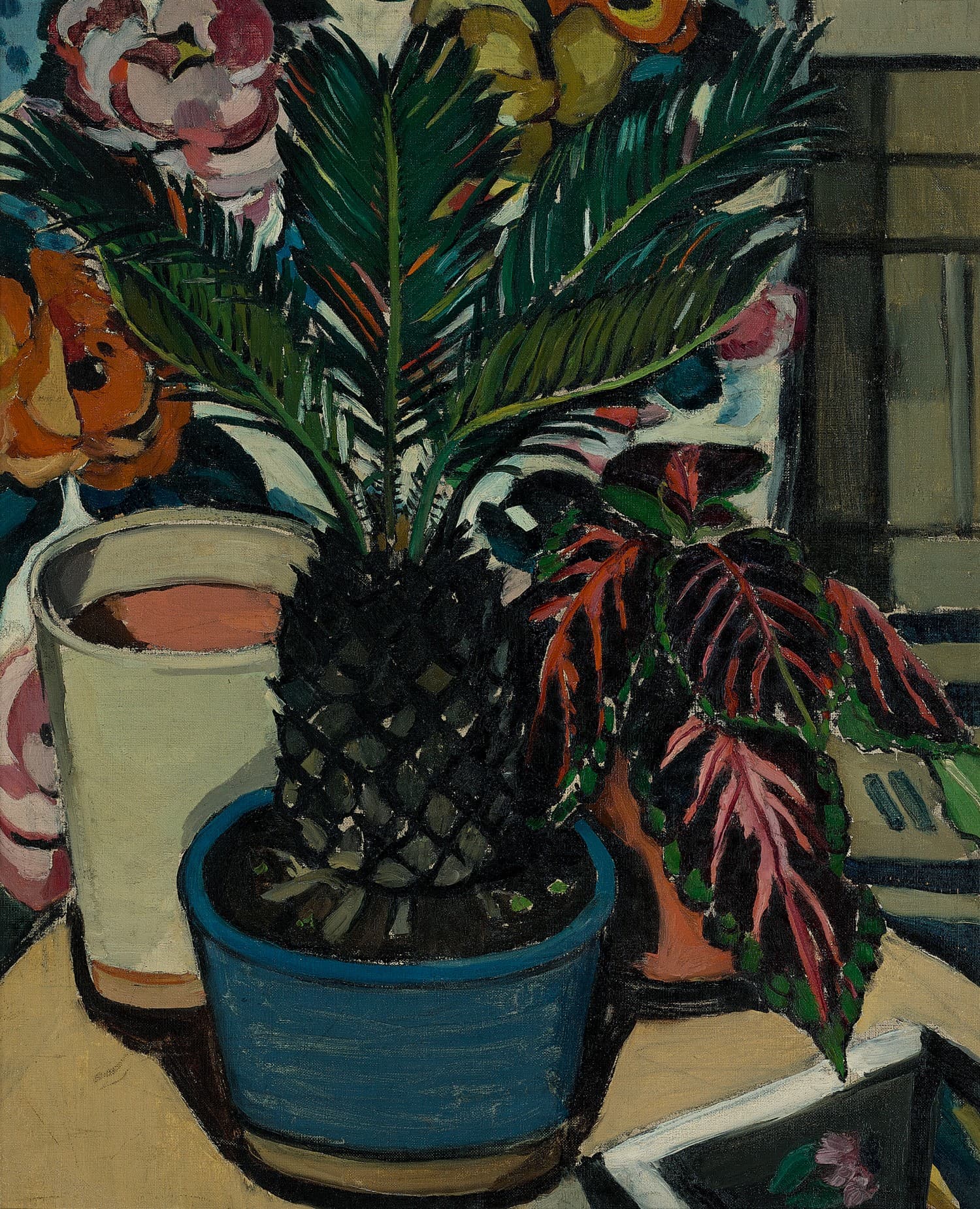 PINEAPPLE PALM
