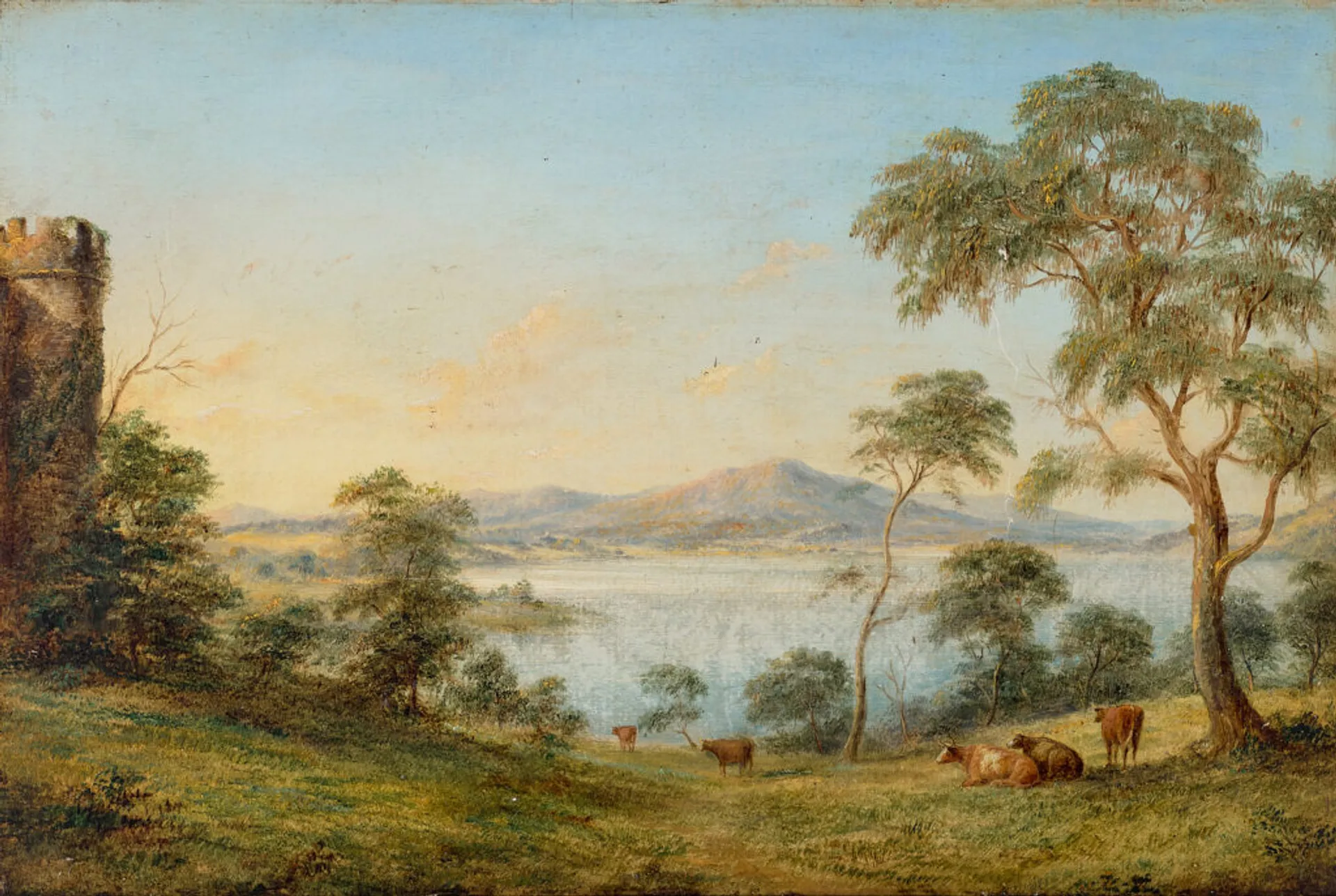 VIEW OF YAN YEAN FROM BEAR’S CASTLE