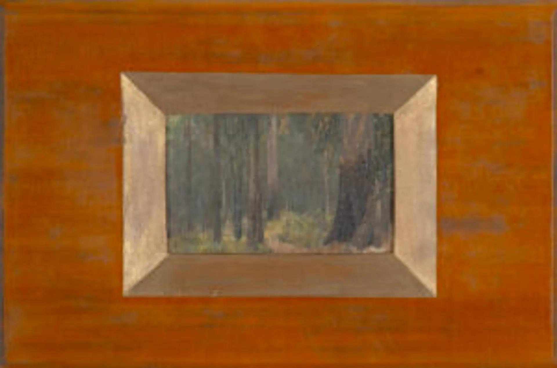 SHERBROOKE FOREST
