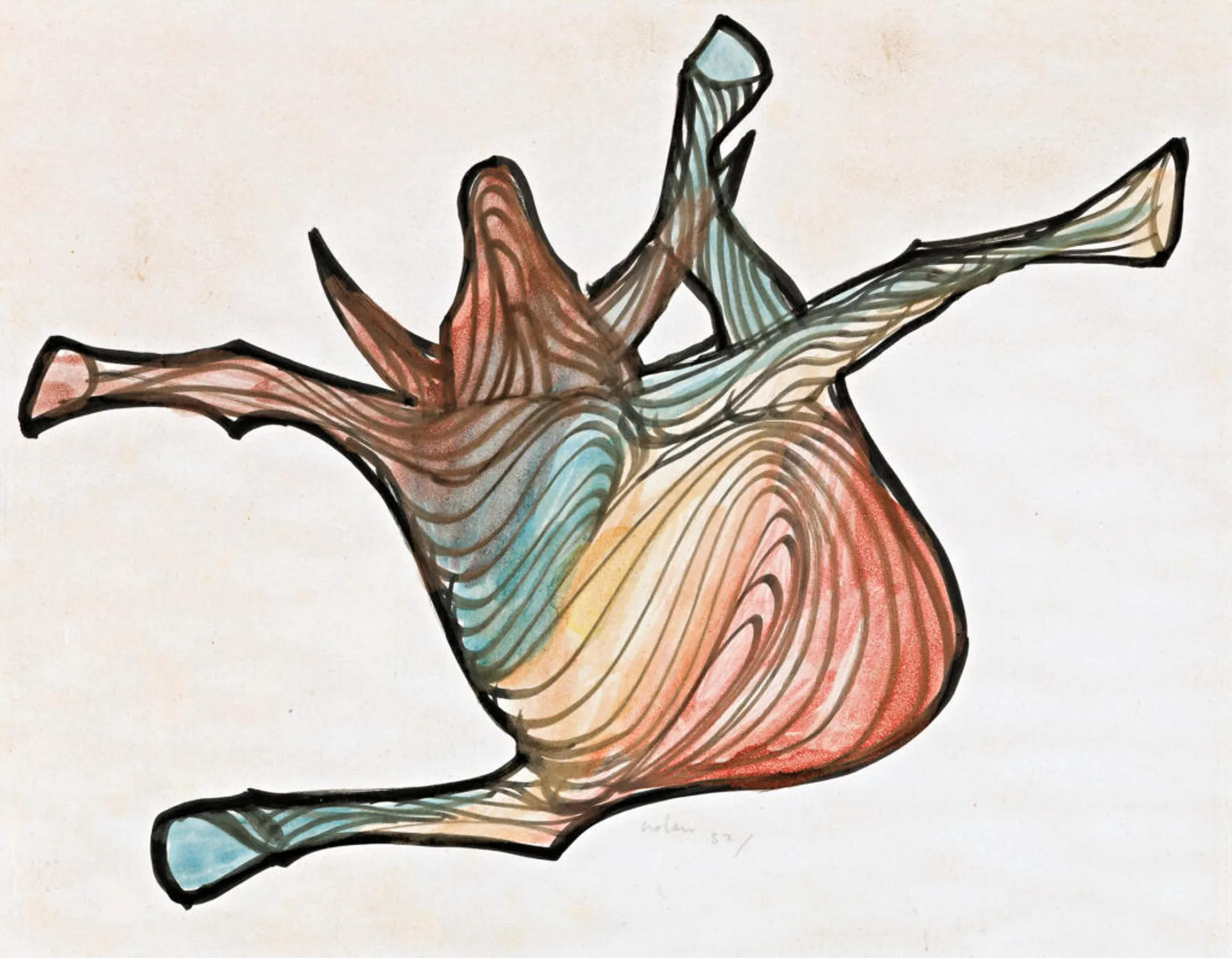 (COLOURED CARCASS)