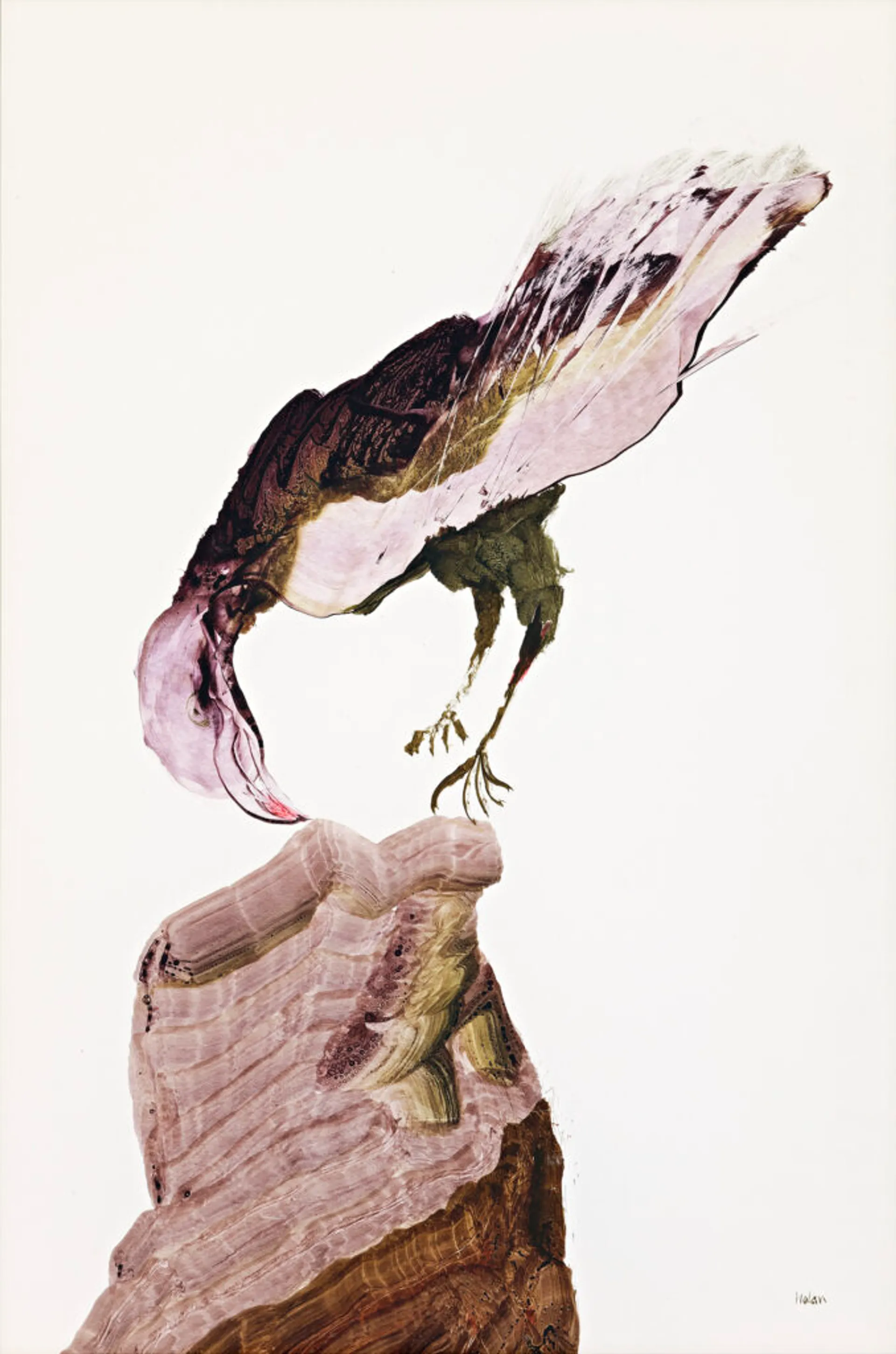 BIRD OF PREY
