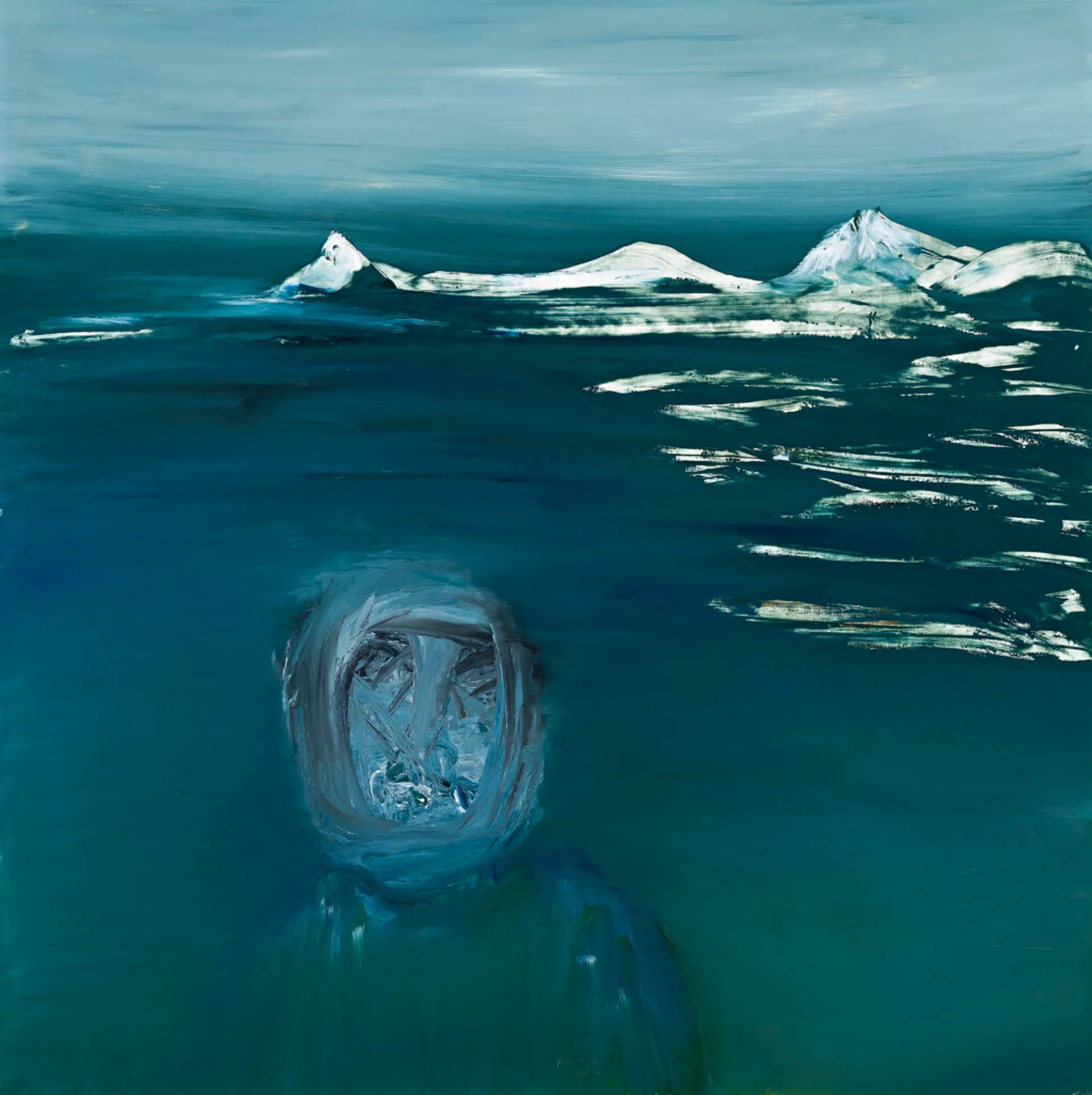 ANTARCTIC EXPLORER