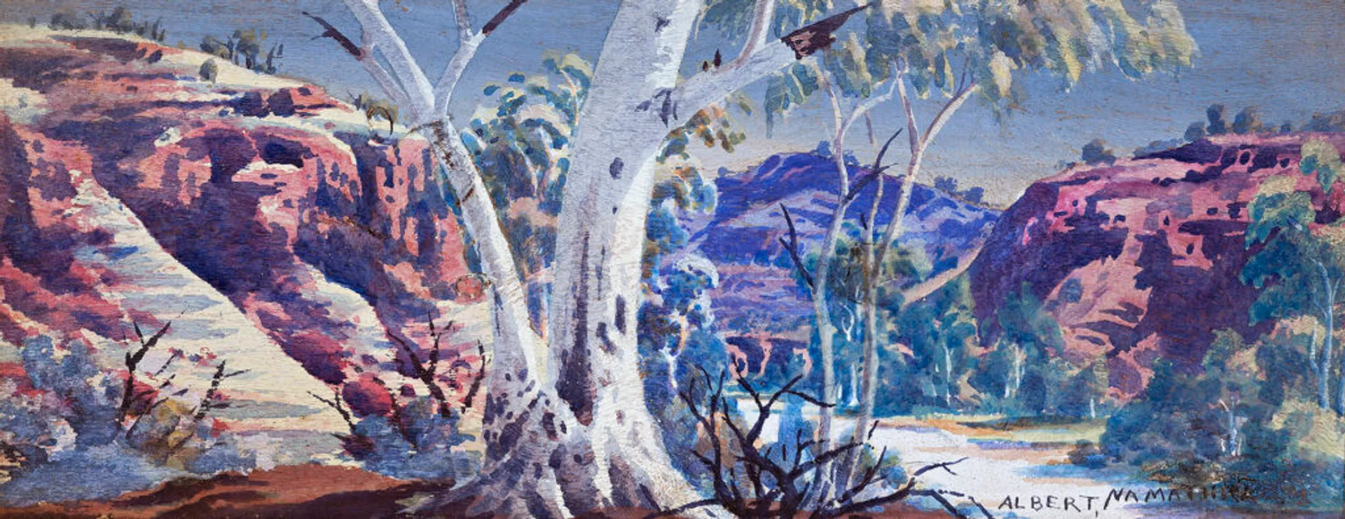 GHOST GUM NEAR HAASTS BLUFF