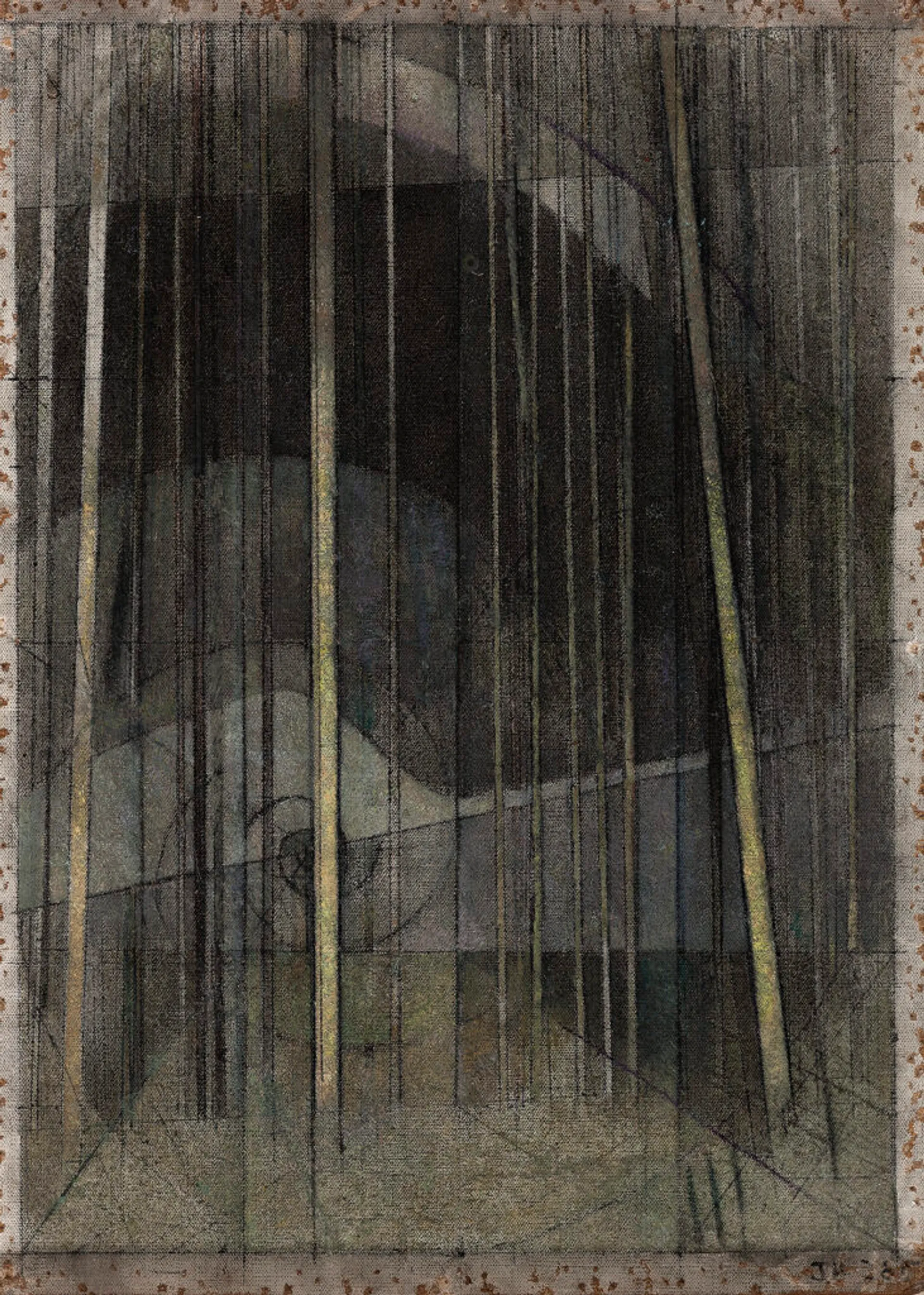 NOCTURNE TREES