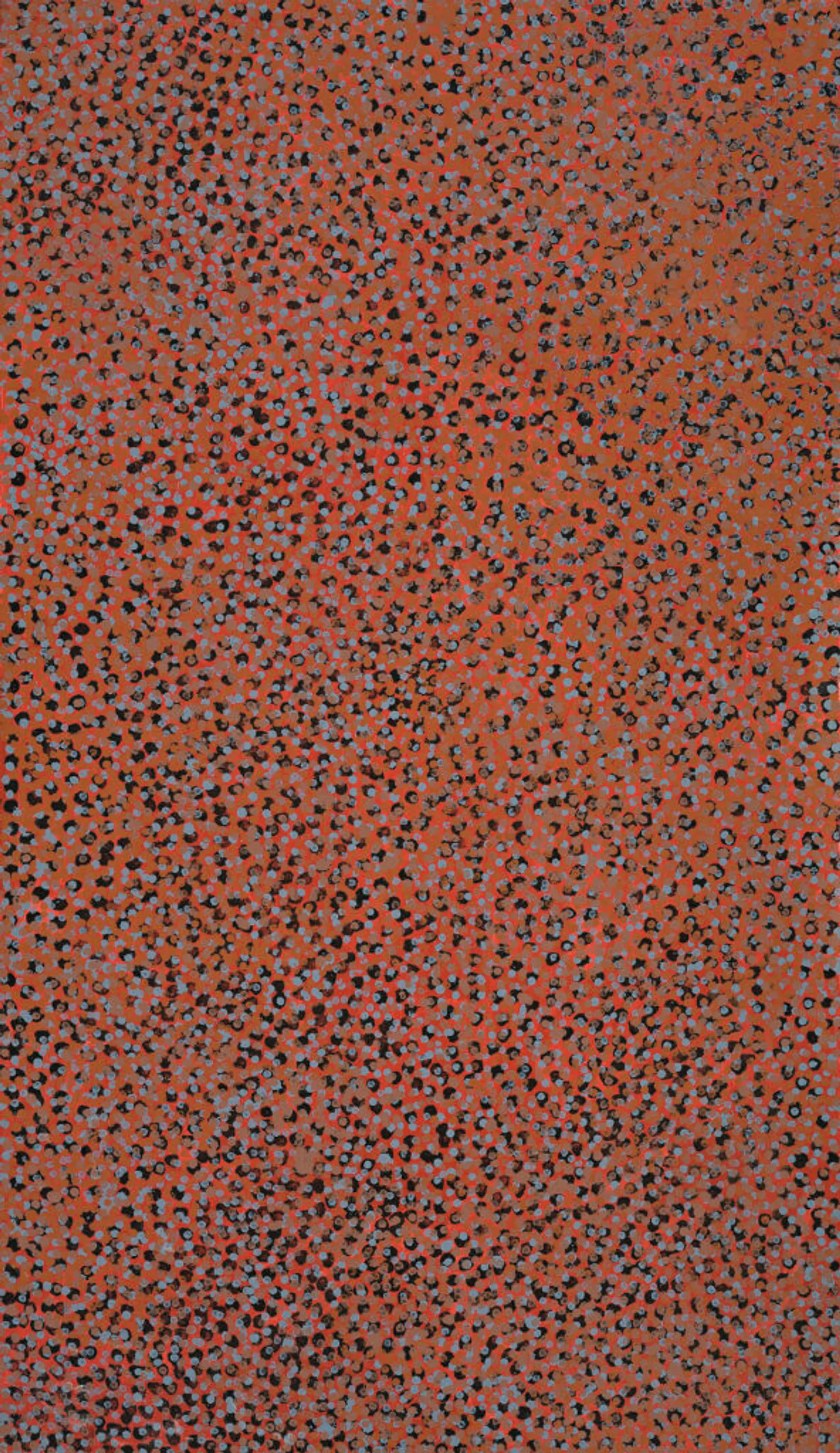 MERNE NDORKWA (WILD PLUM)