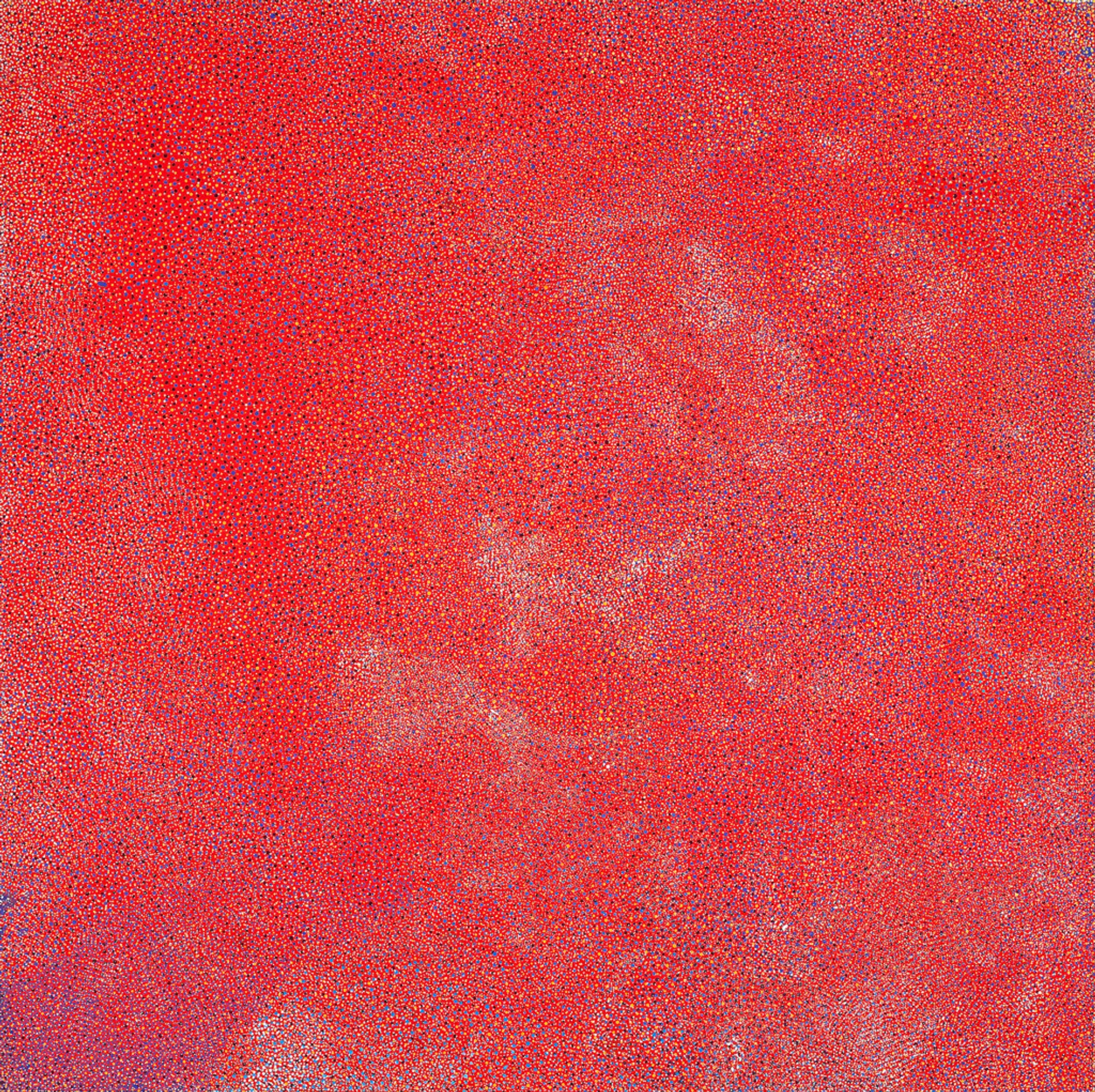 BUSH PLUM