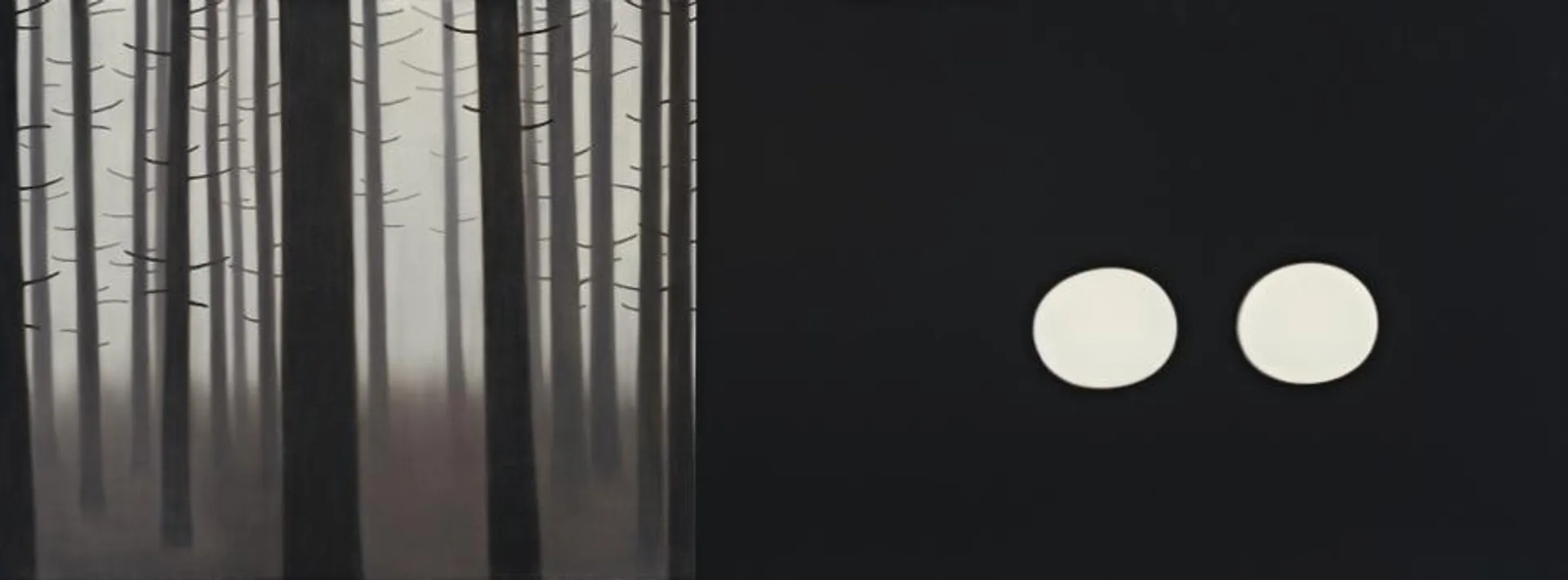 FOREST AND LIGHTS – SPLIT