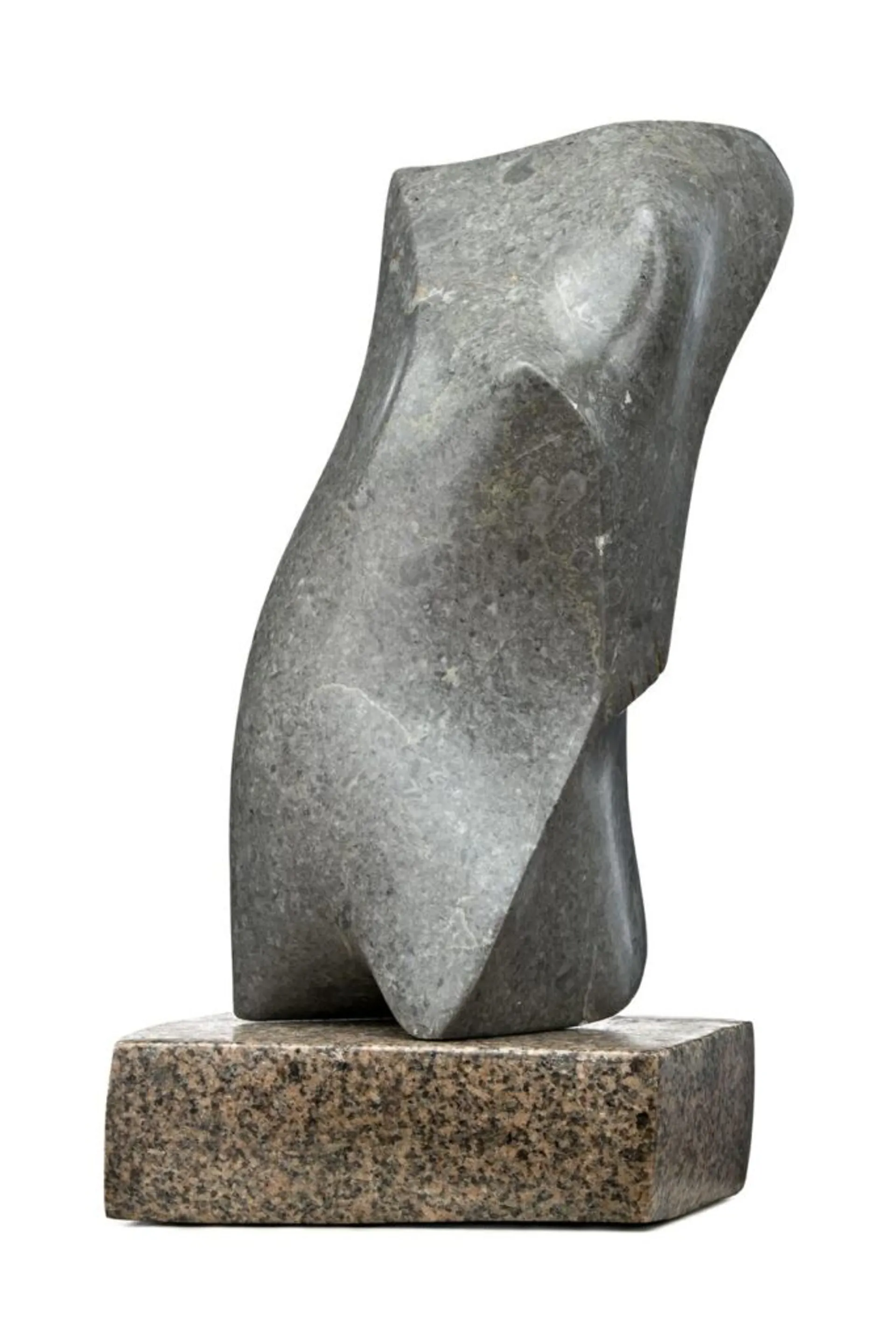 LITTLE TORSO