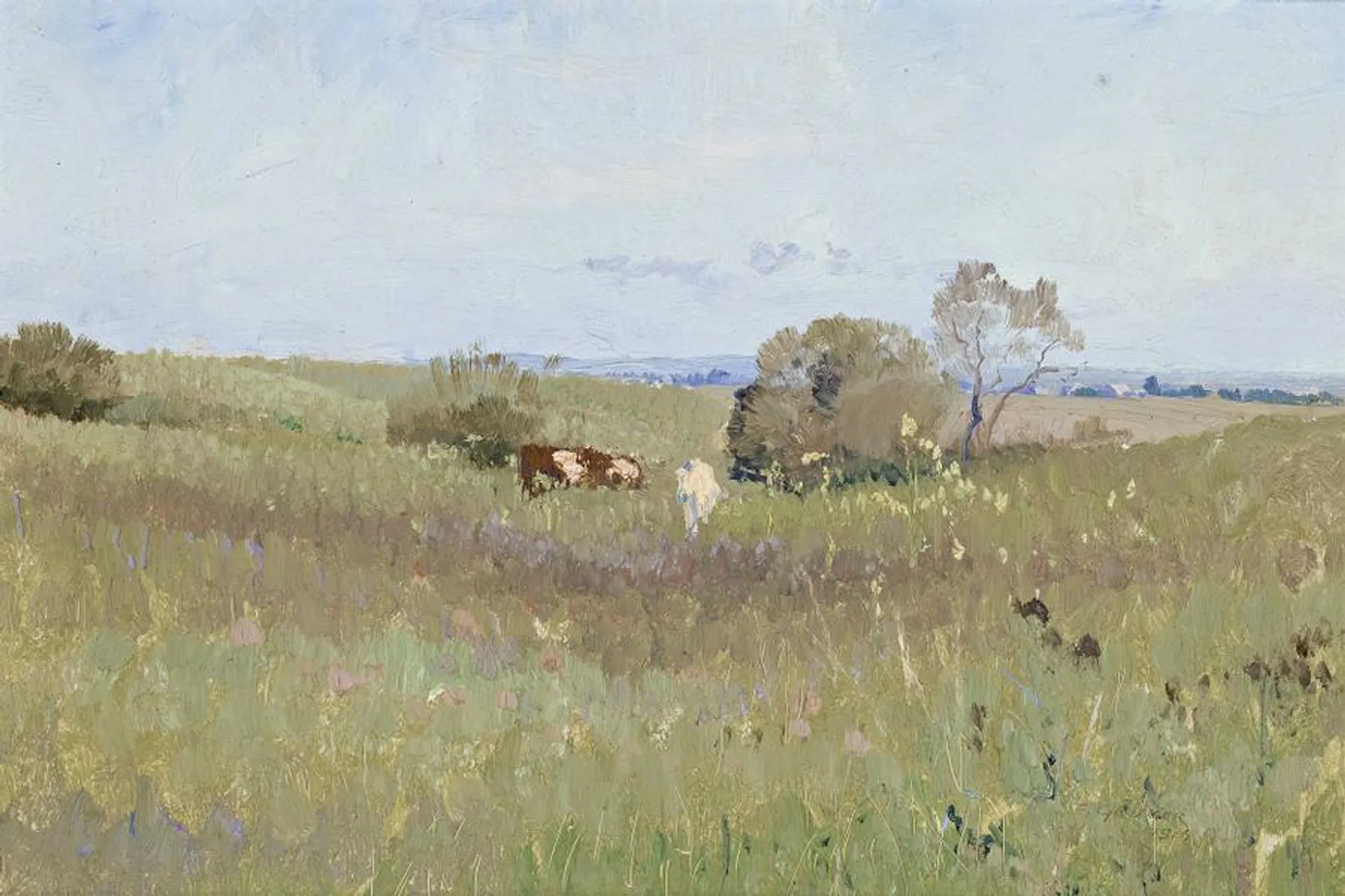 UNPLOUGHED FIELD