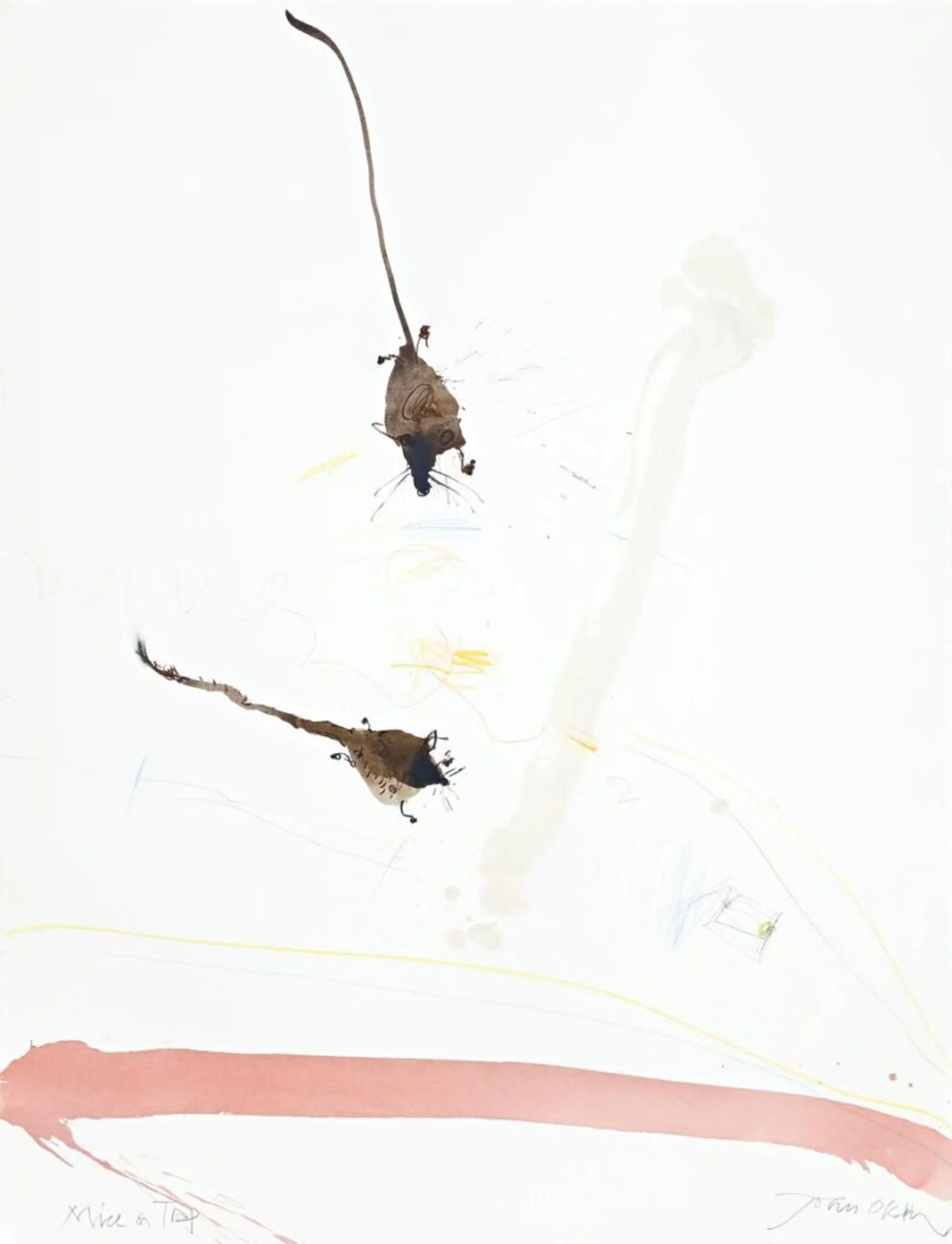 MICE AND TRAP