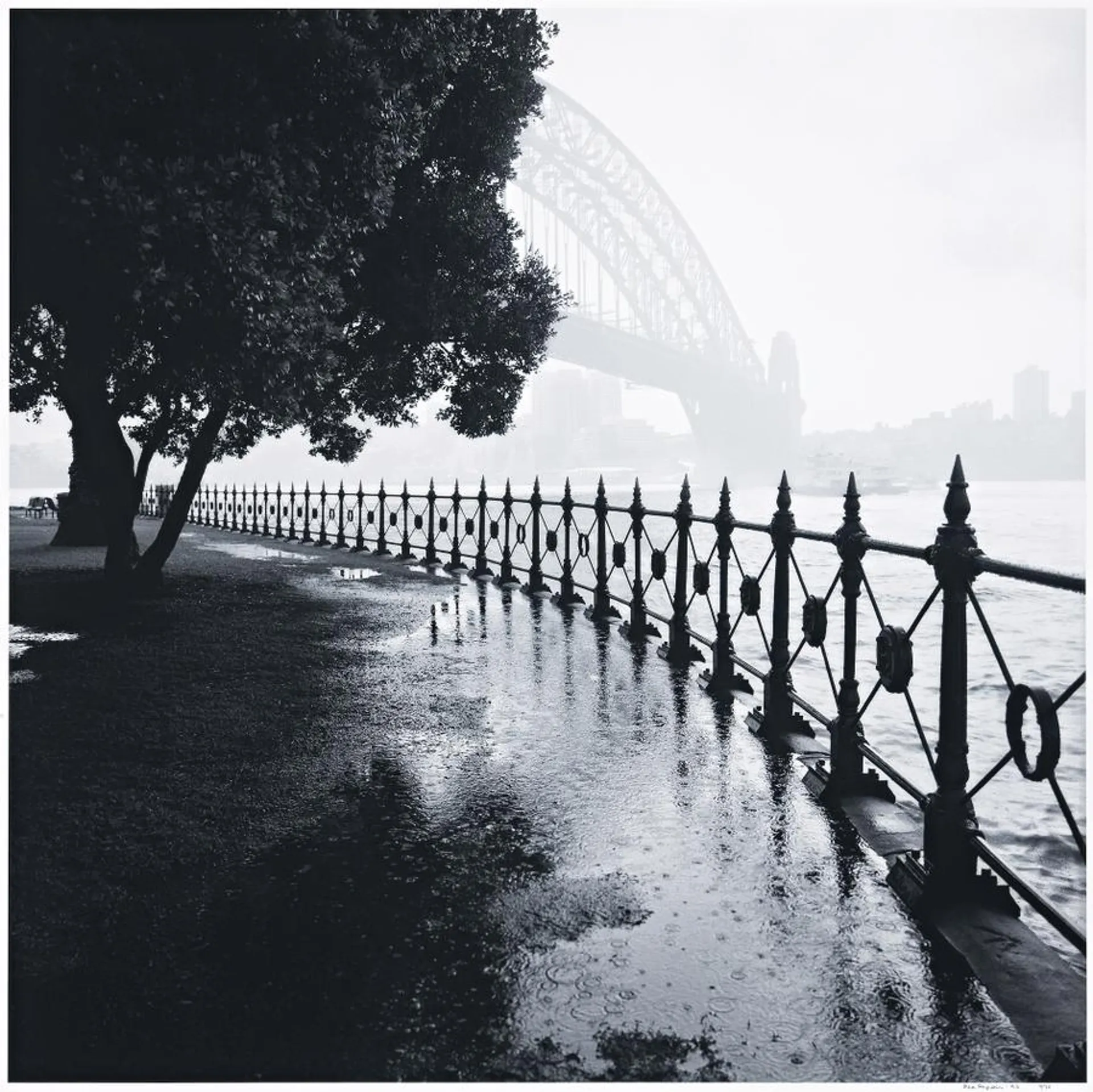 SYDNEY RAIN, BRIDGE