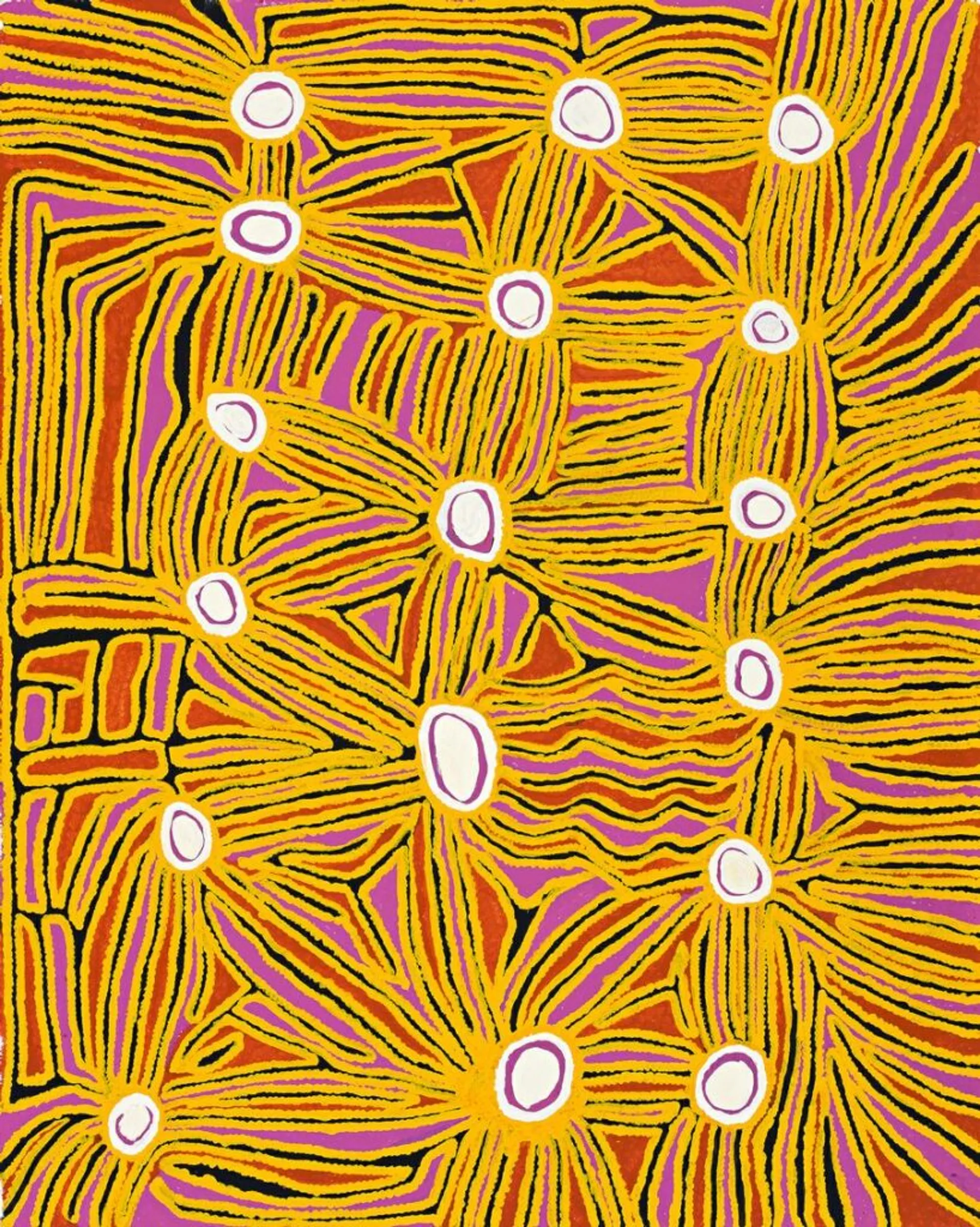 PORCUPINE DREAMING