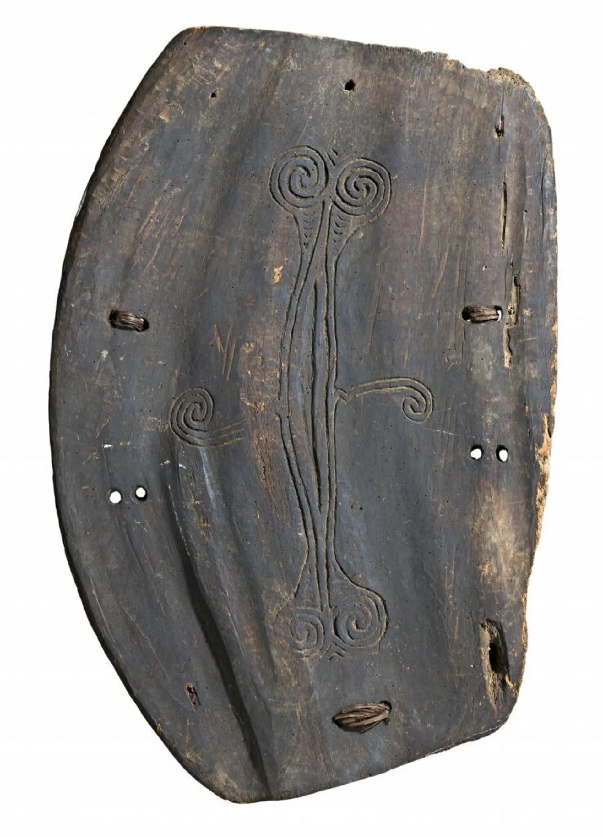 A WAR SHIELD