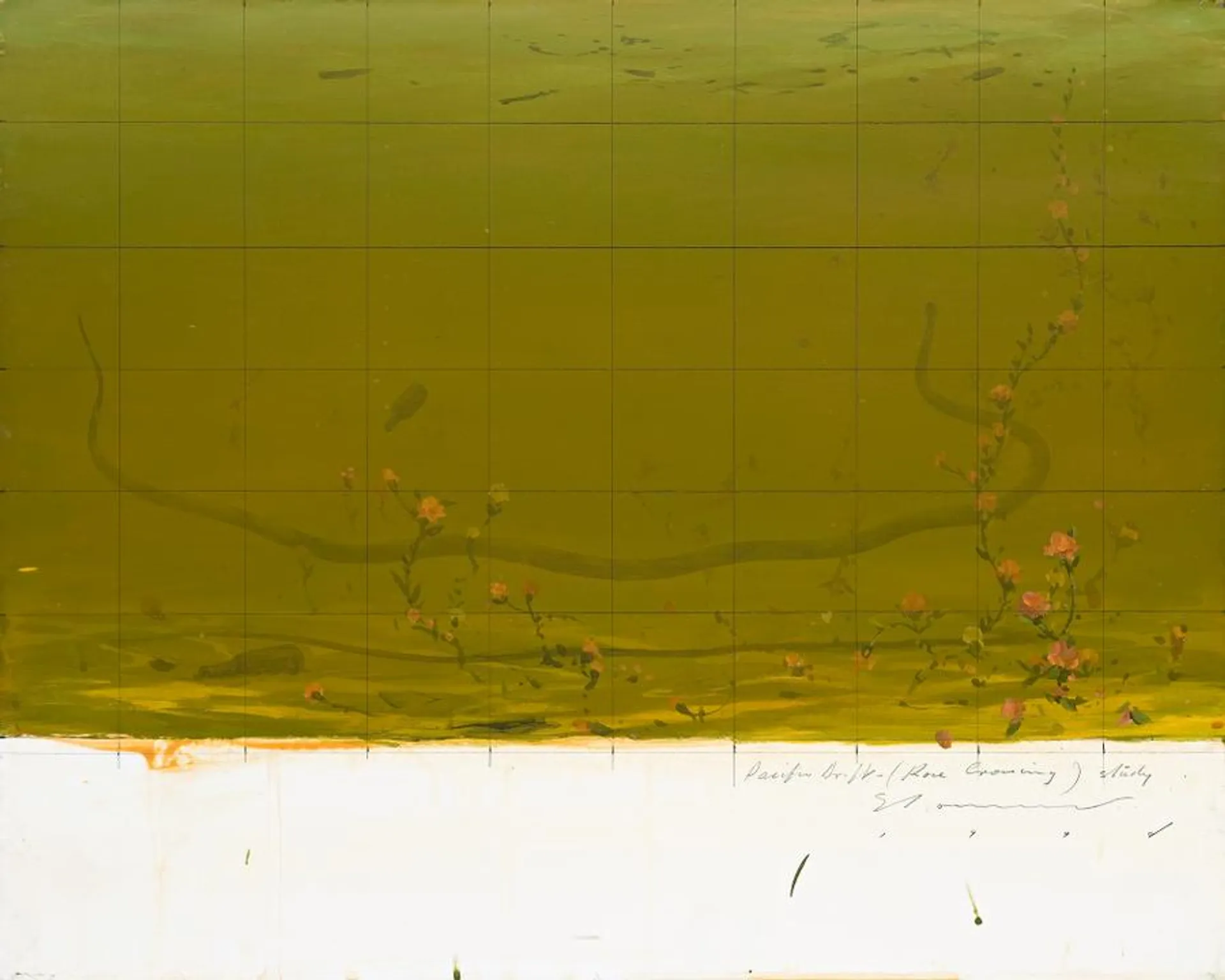 PACIFIC DRIFT (ROSE CROSSING) STUDY