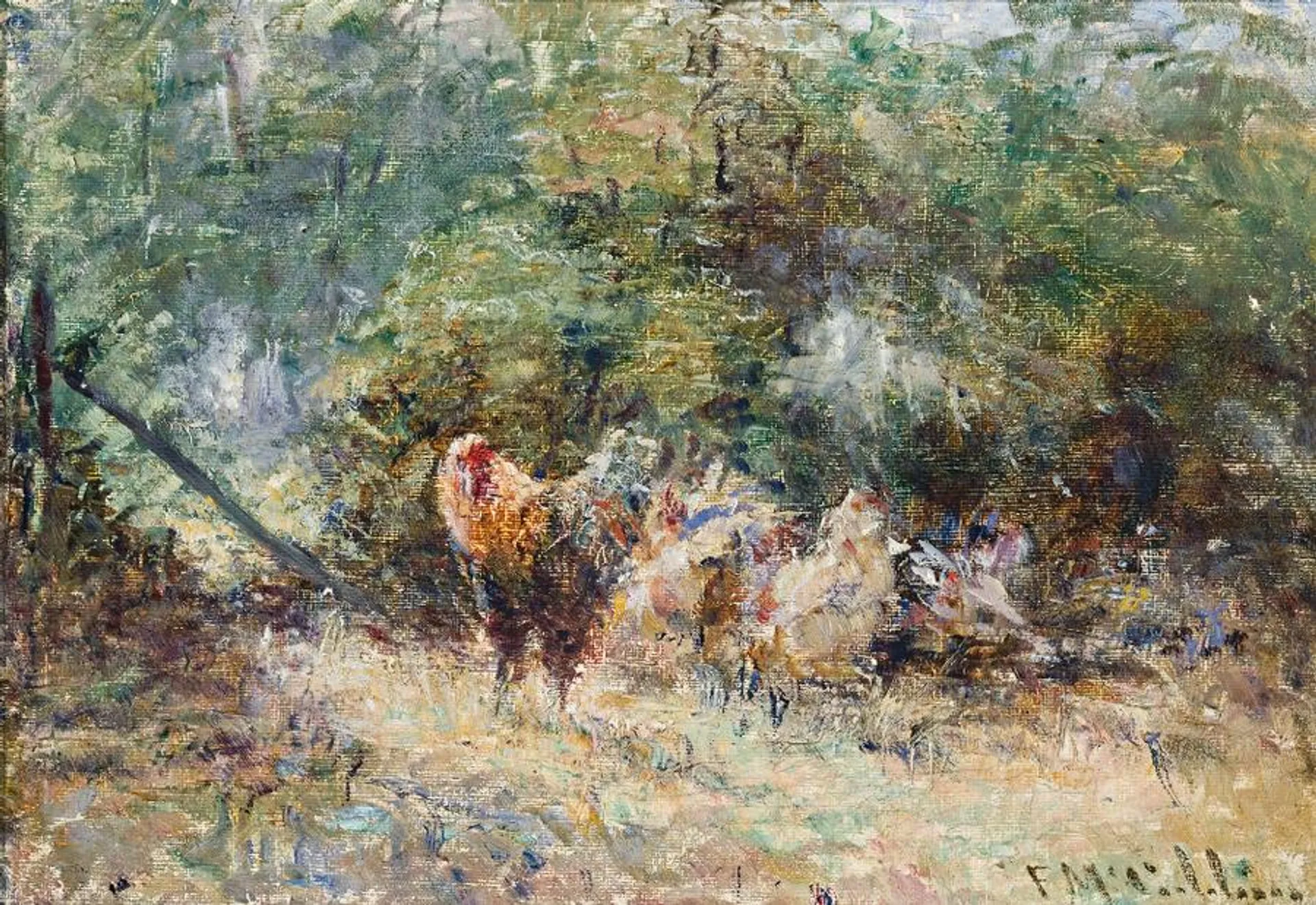 STUDY OF POULTRY