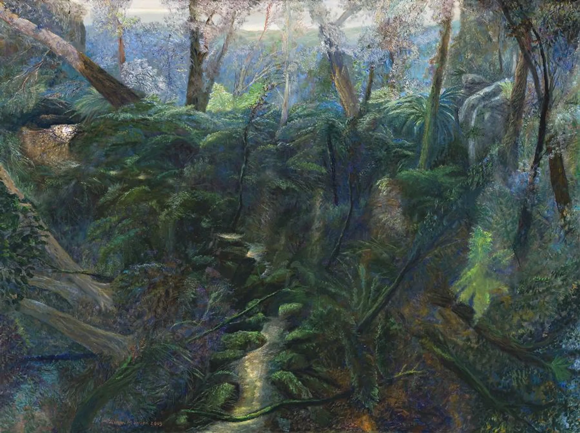 FOREST WITH FERNS, TALLANBANNA