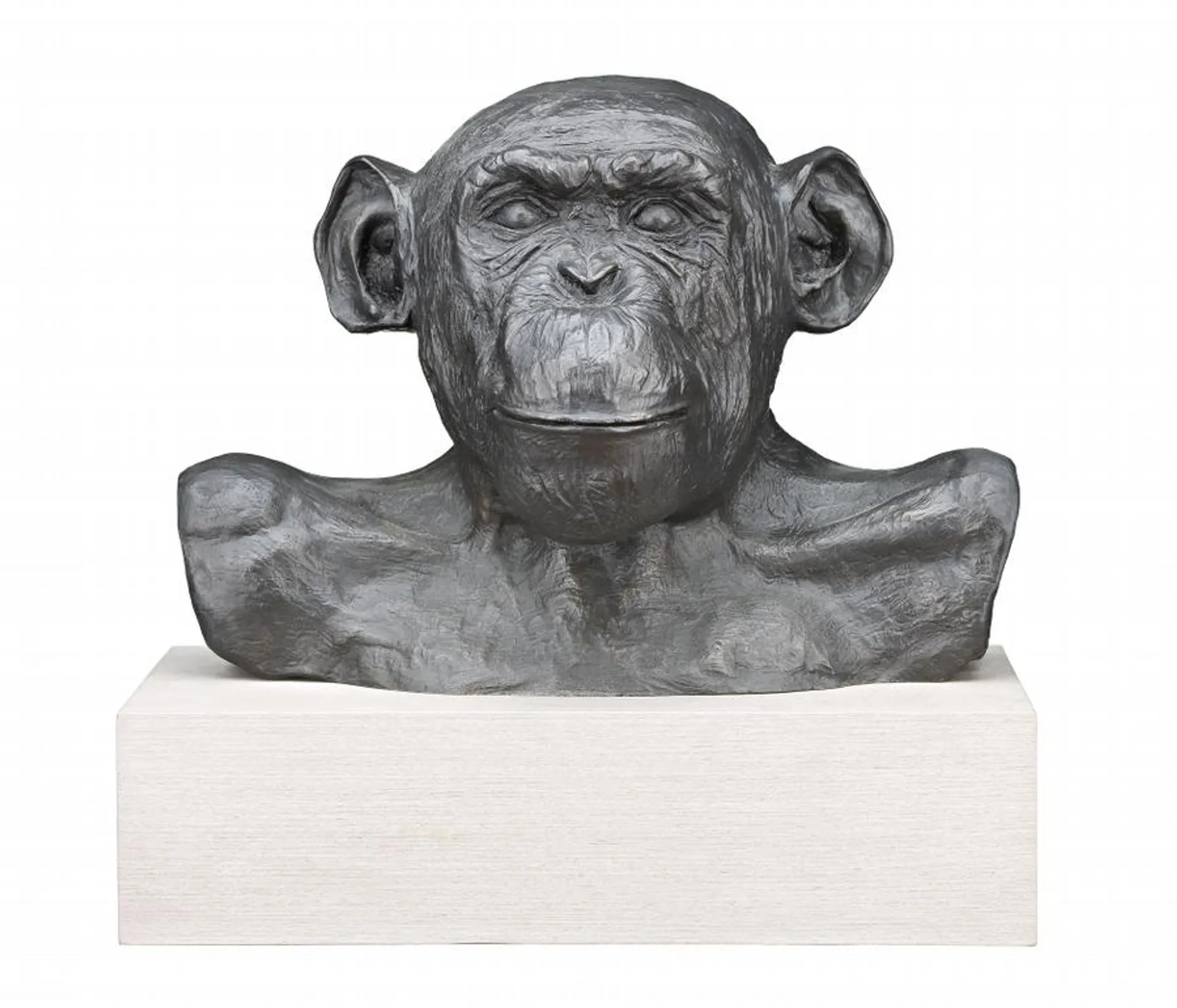 HAM (ASTRO CHIMP) NO. 29