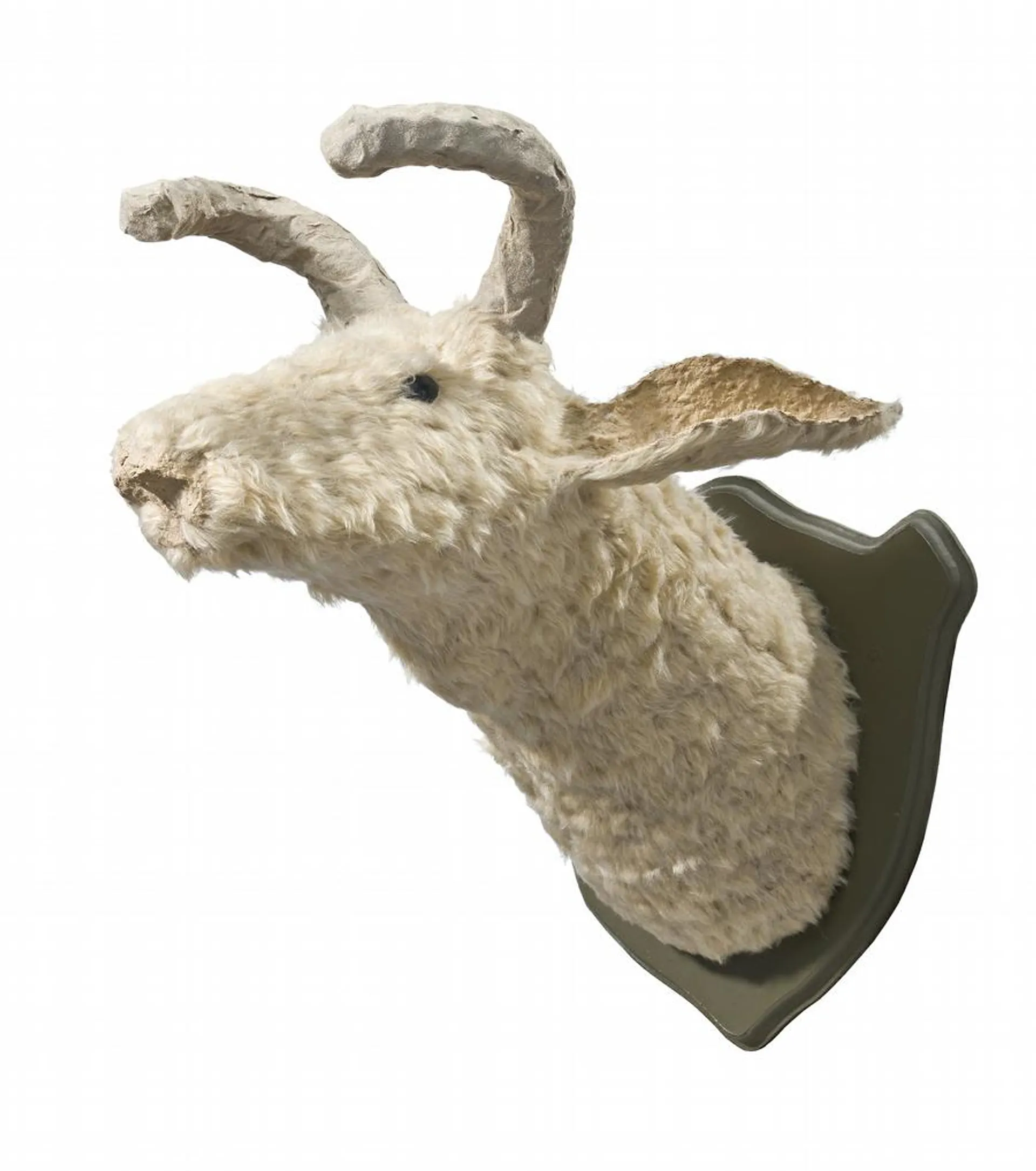 FAUN TROPHY