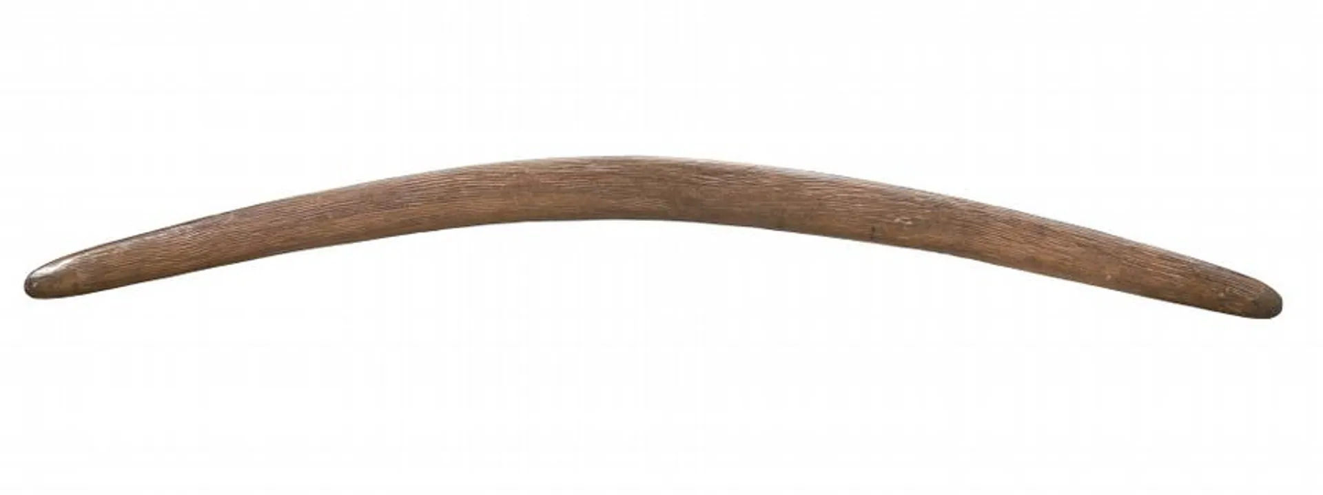 A LARGE BOOMERANG CLUB