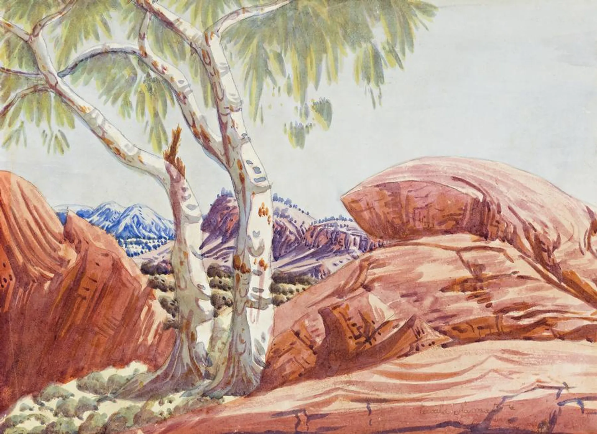 CENTRAL AUSTRALIAN LANDSCAPE