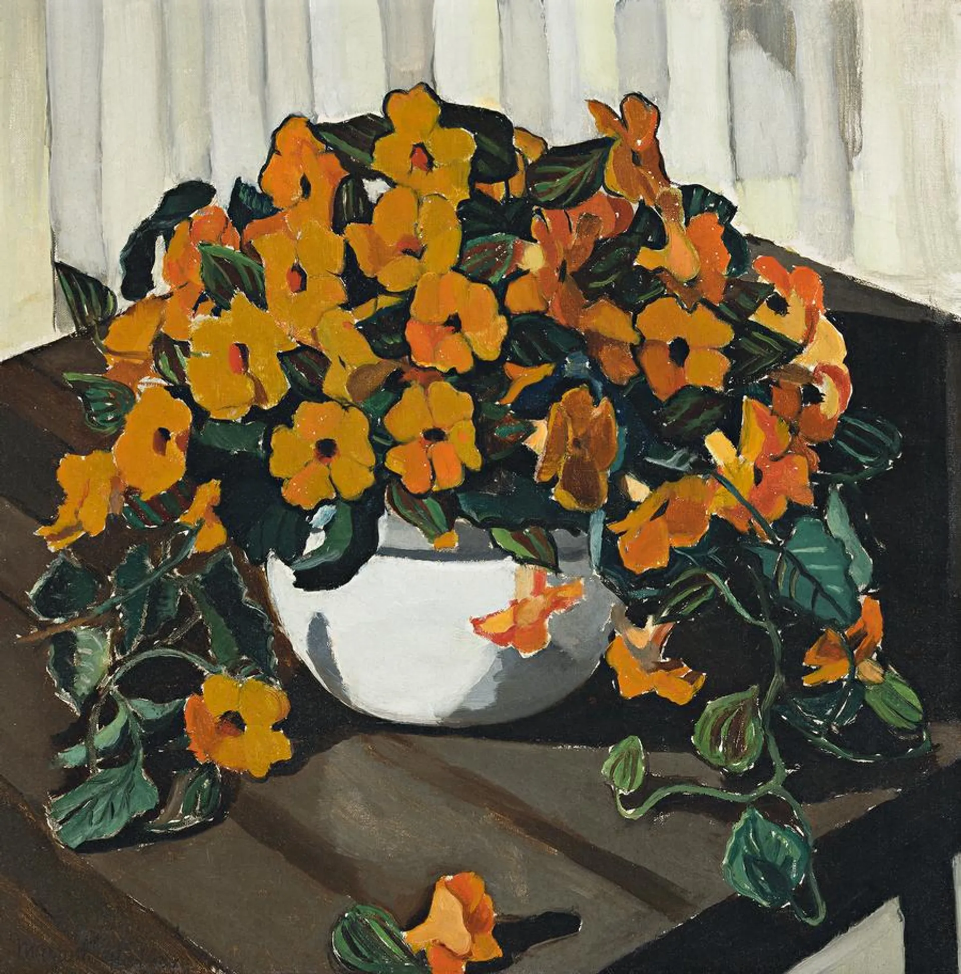 THUNBERGIA (BLACK-EYED SUSAN)