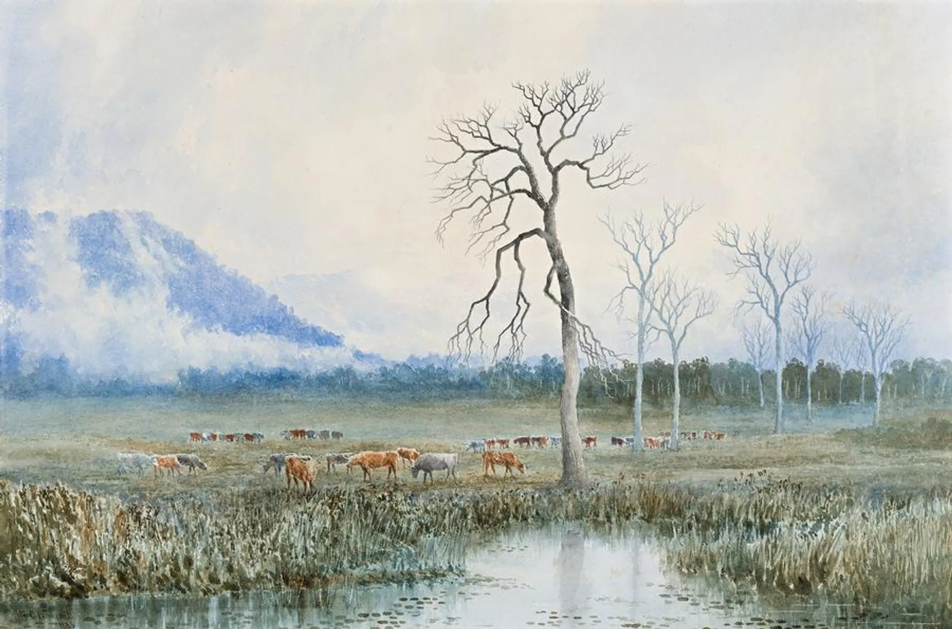 PASTORAL IDEAL, TASMANIA