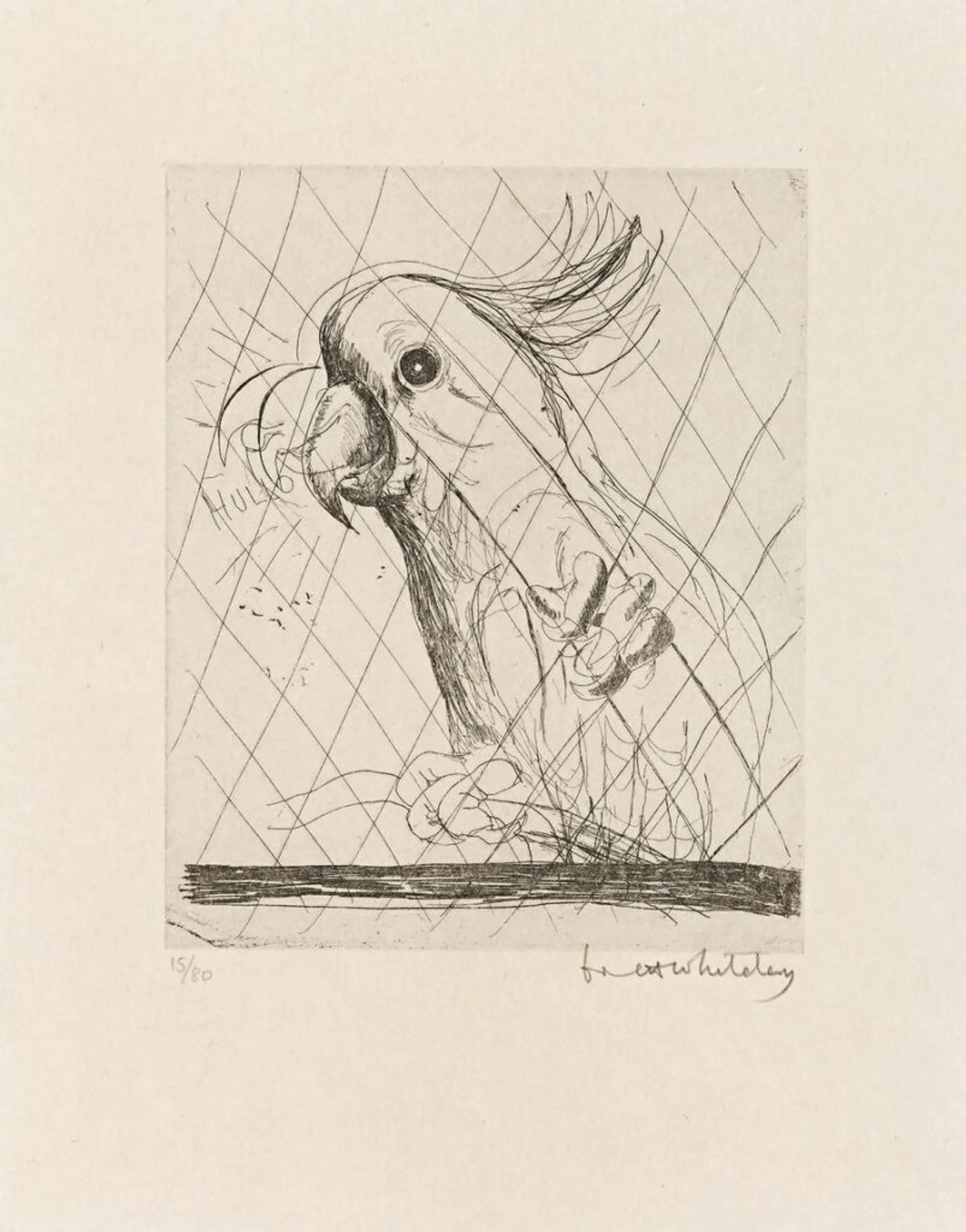 COCKATOO