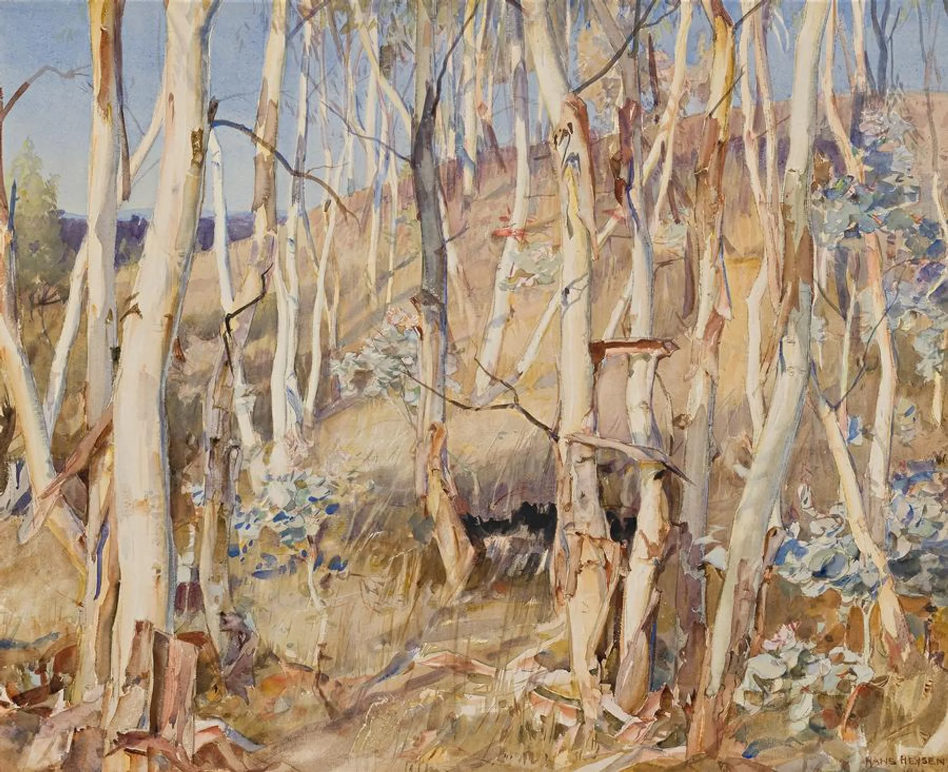 SAPLINGS