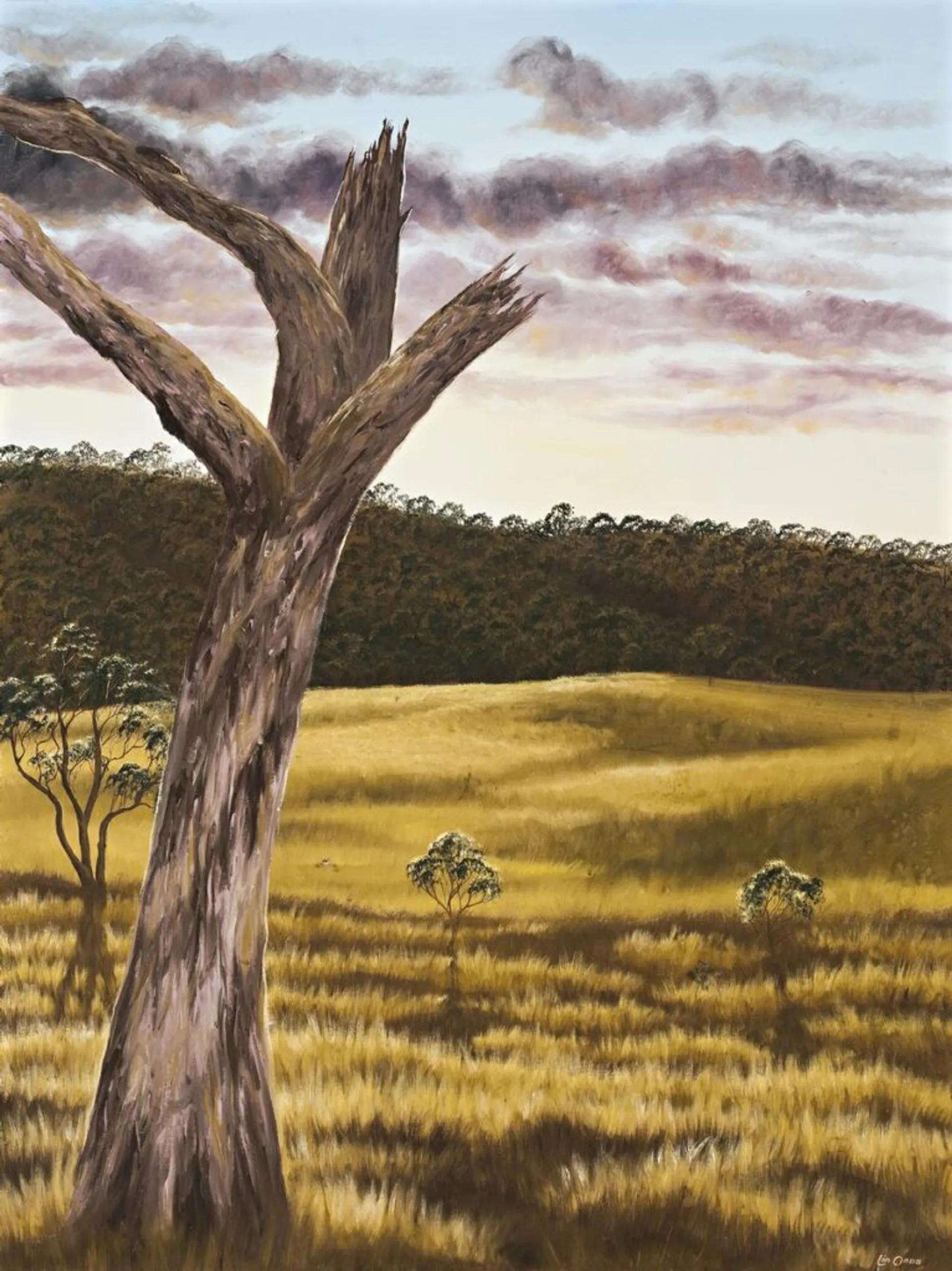 OLD TREE IN LANDSCAPE