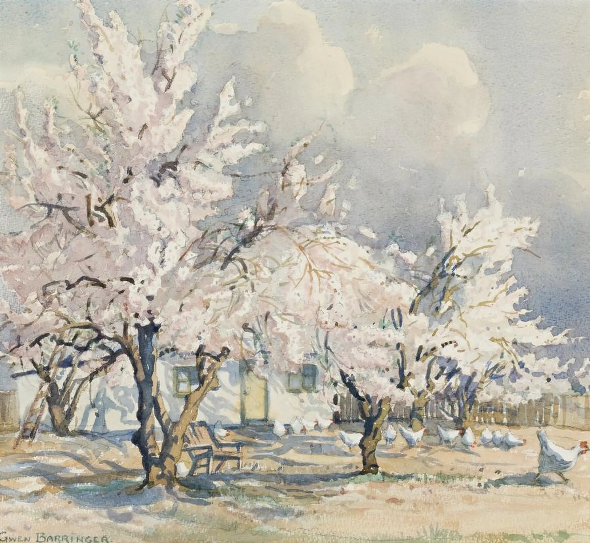 BLOSSOMS
