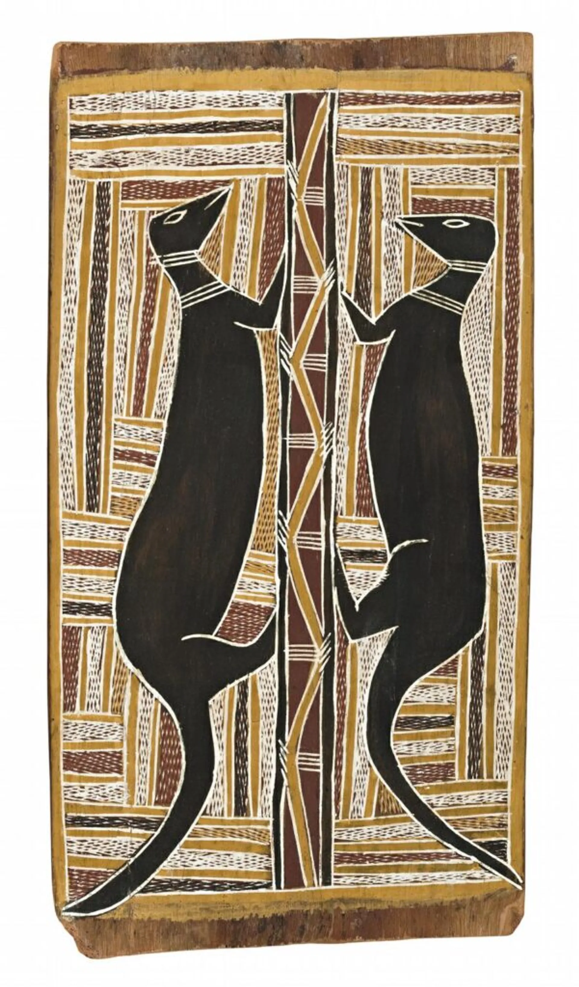 DJANDA (GOANNAS)