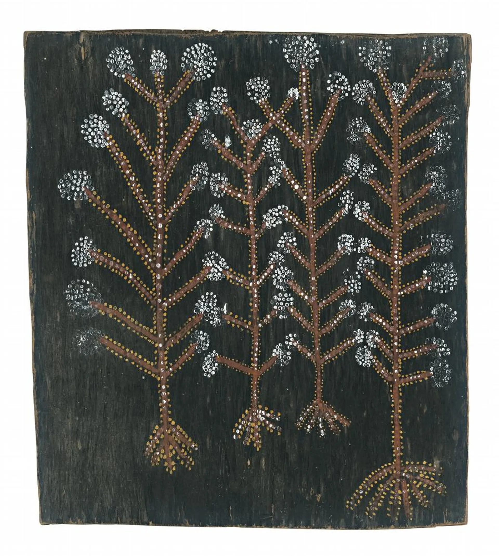 SACRED TREES