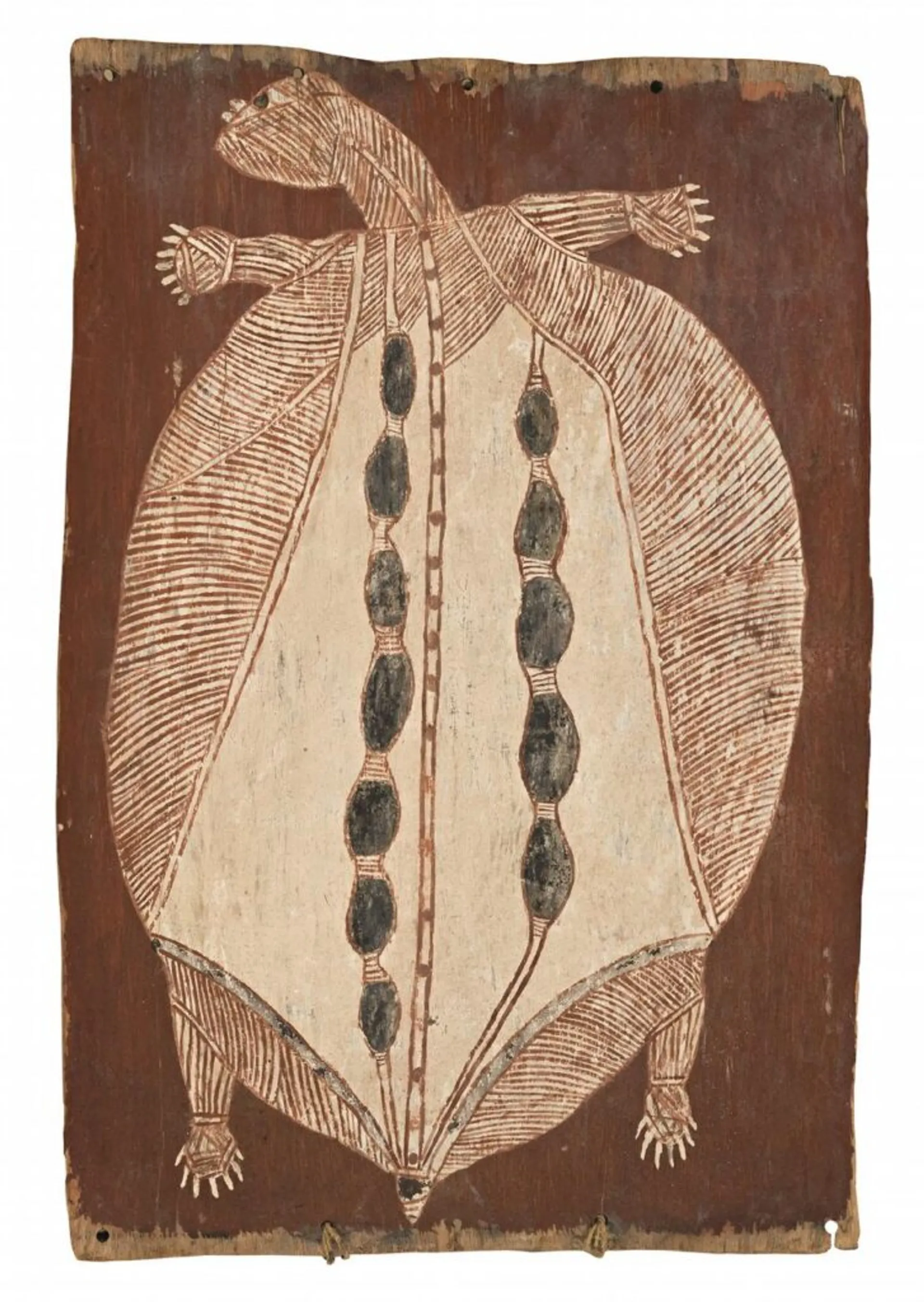 NGARDEWO (TURTLE)