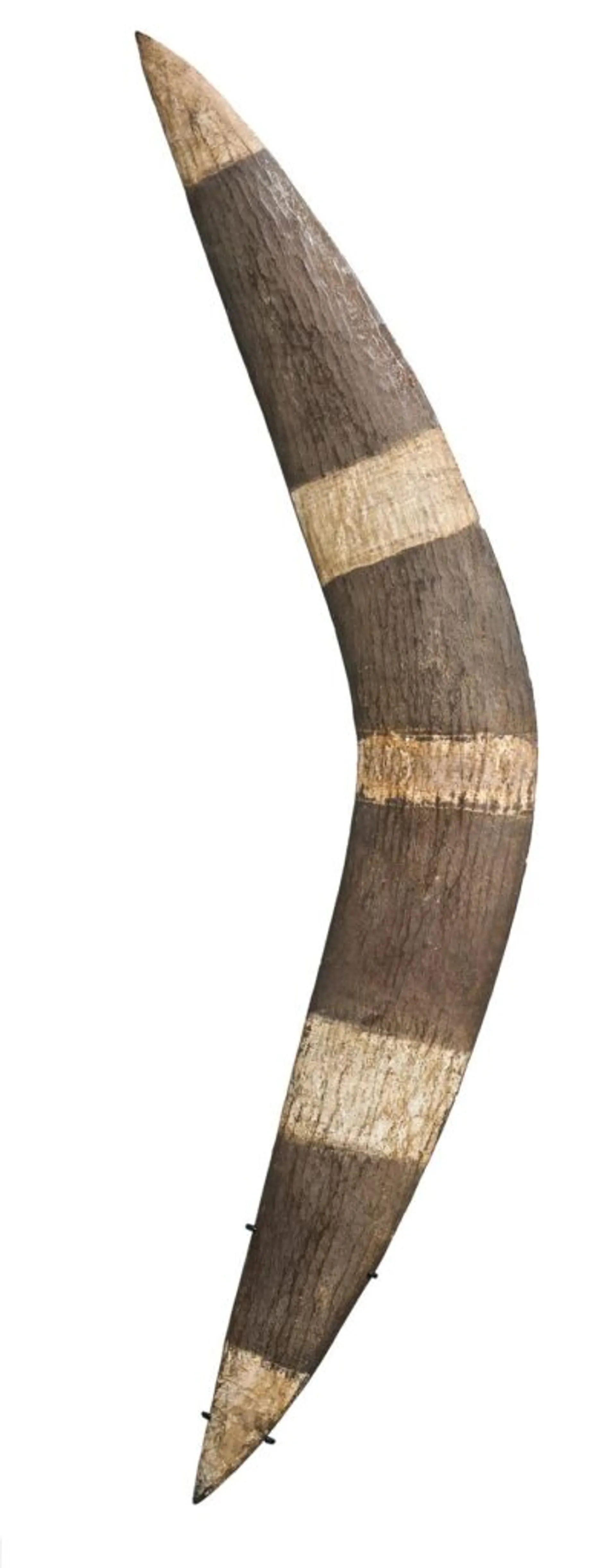 A WESTERN AUSTRALIAN BOOMERANG